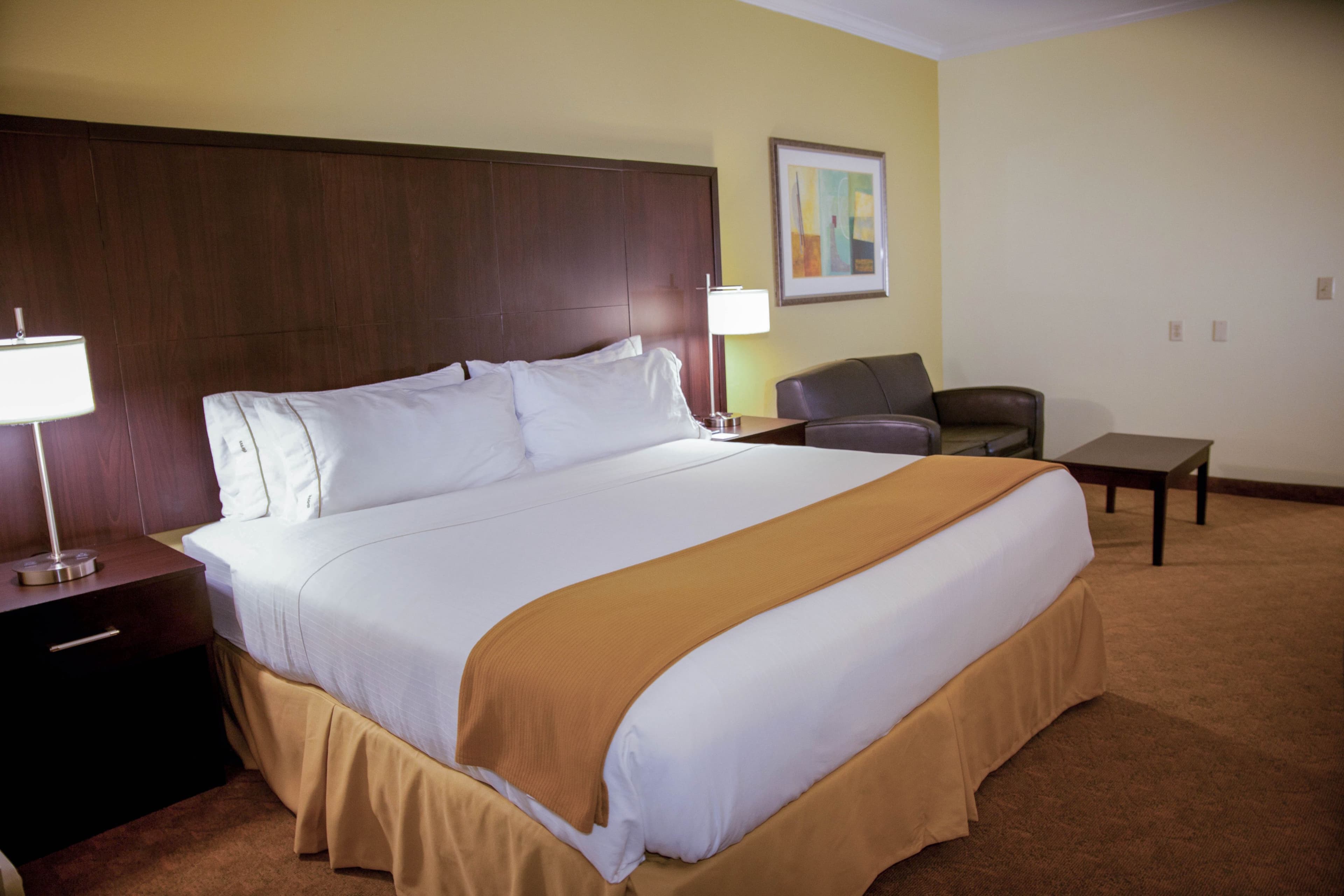 Holiday Inn Express & Suites Houston North Intercontinental — 6