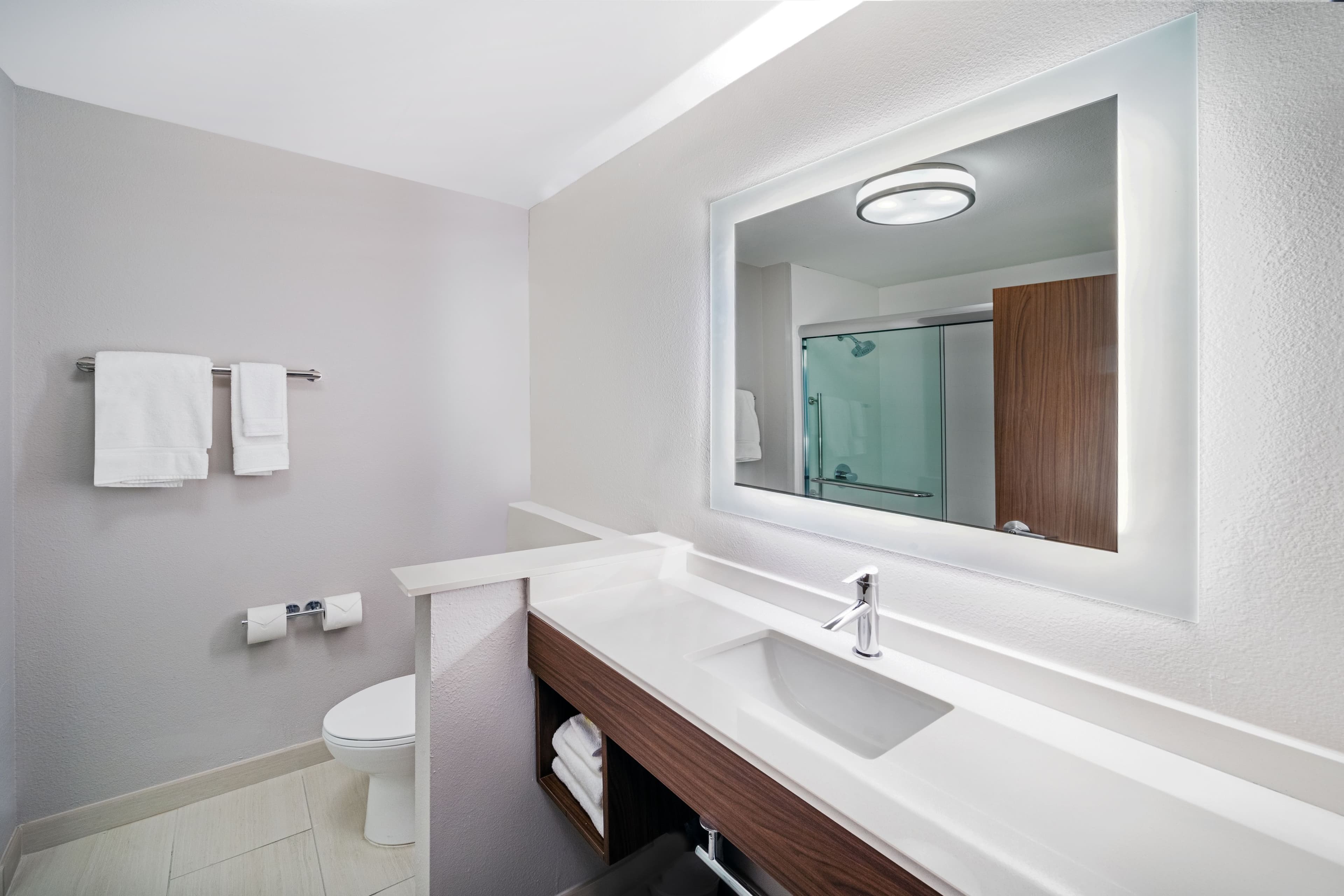 Holiday Inn Express & Suites Houston - Downtown North — 11