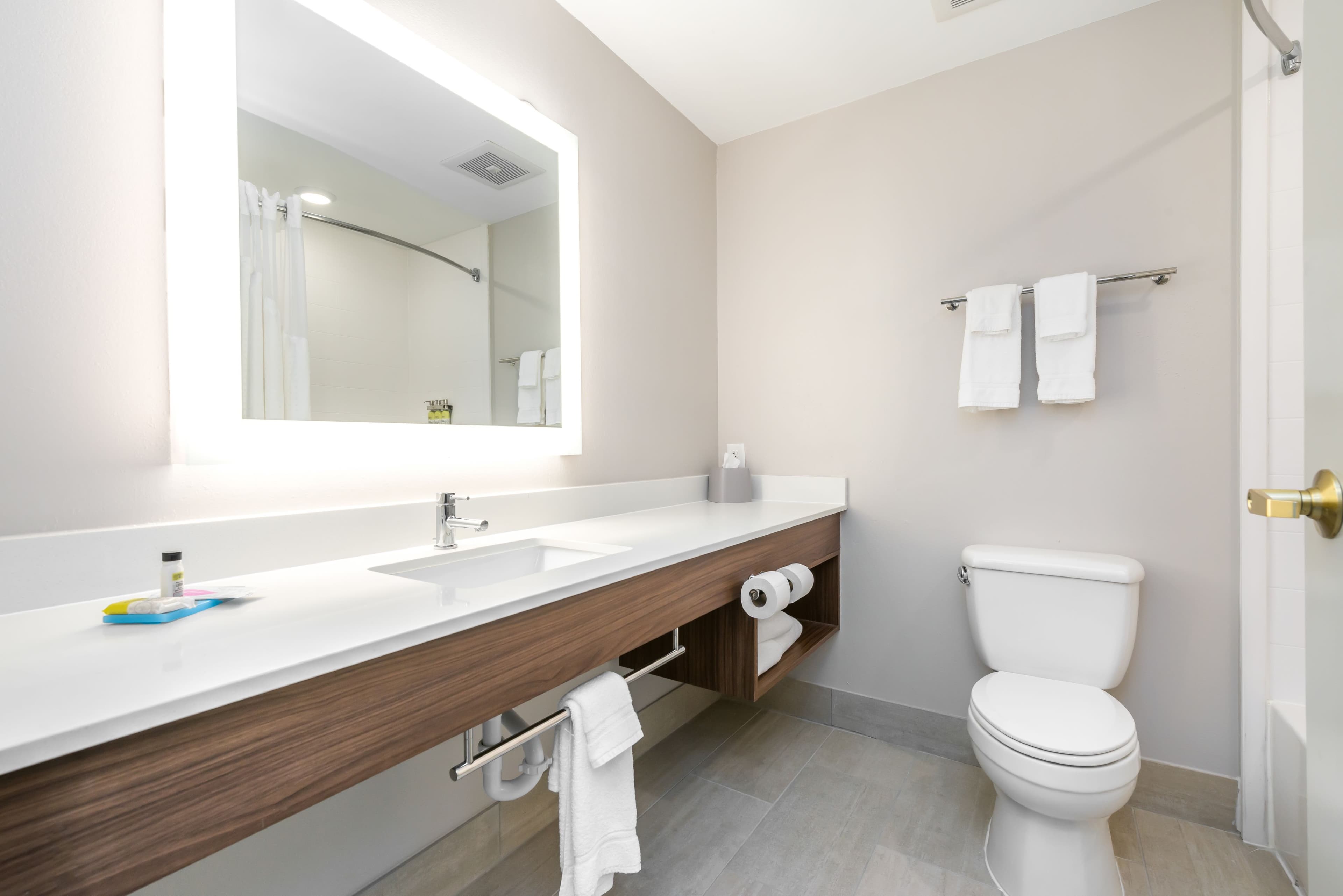 Holiday Inn Express & Suites LaGrange - Image 4