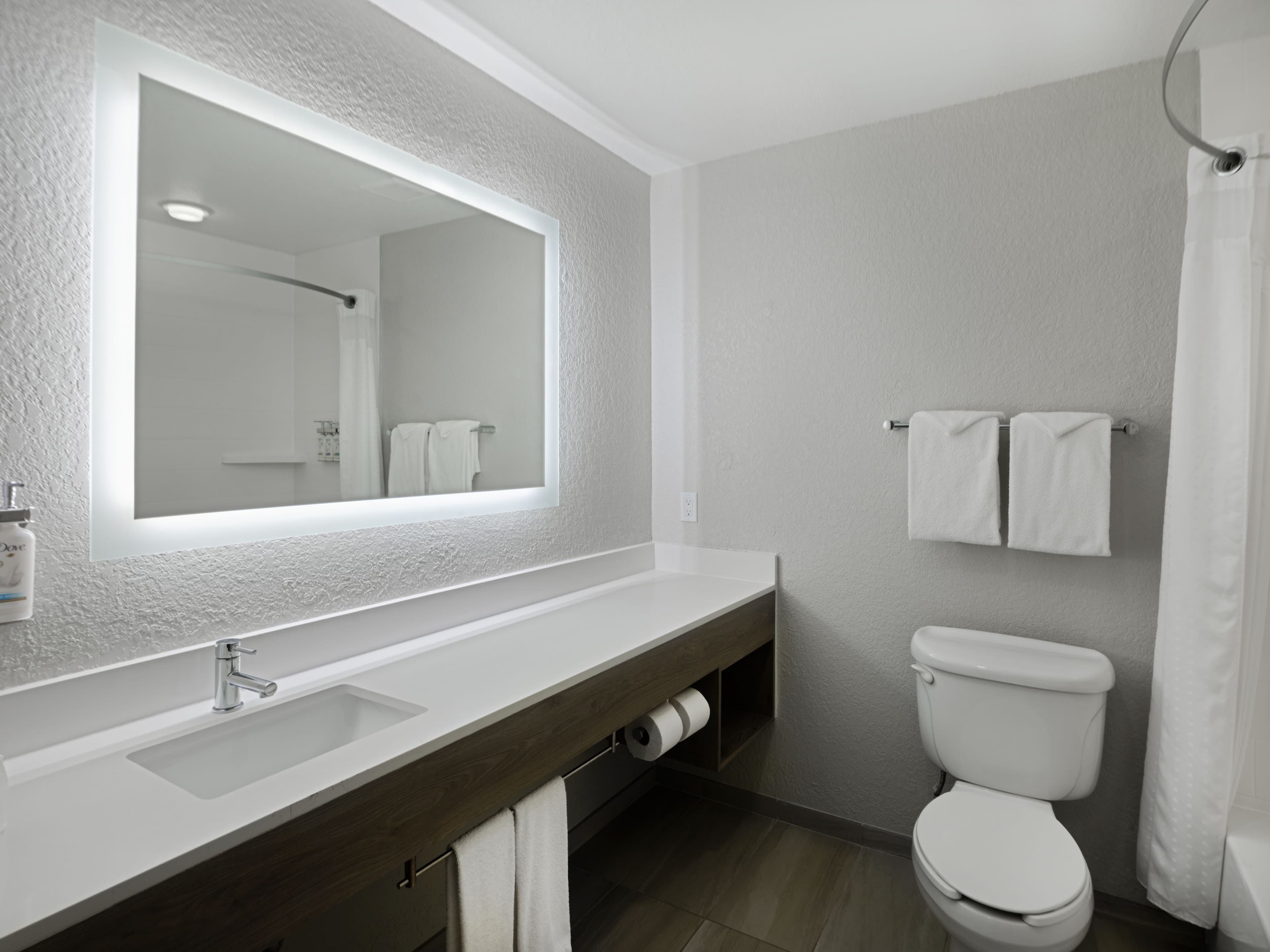 Holiday Inn Express & Suites Lakeland North - I-4 - Image 4