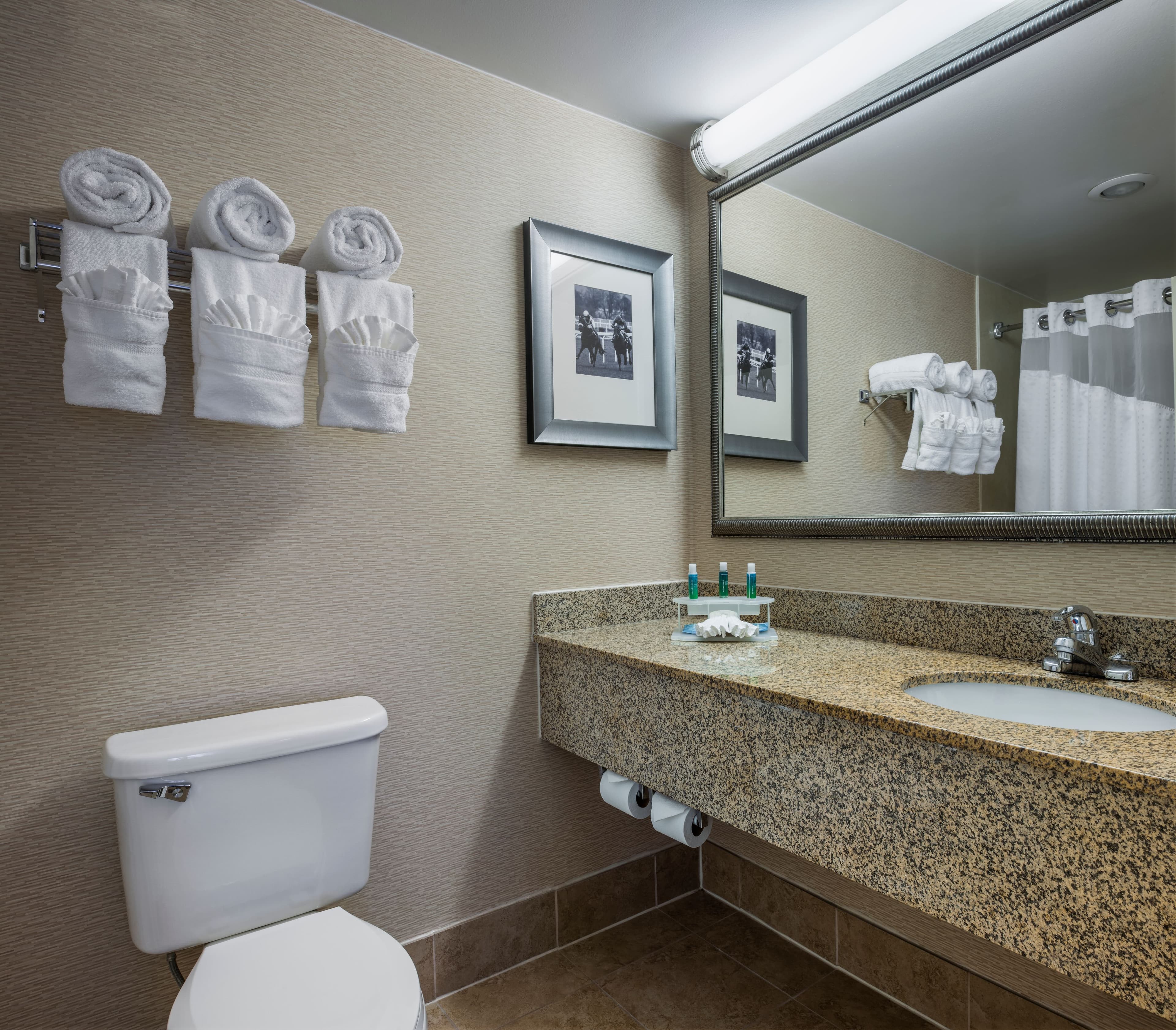 Holiday Inn Express & Suites Laurel — 6
