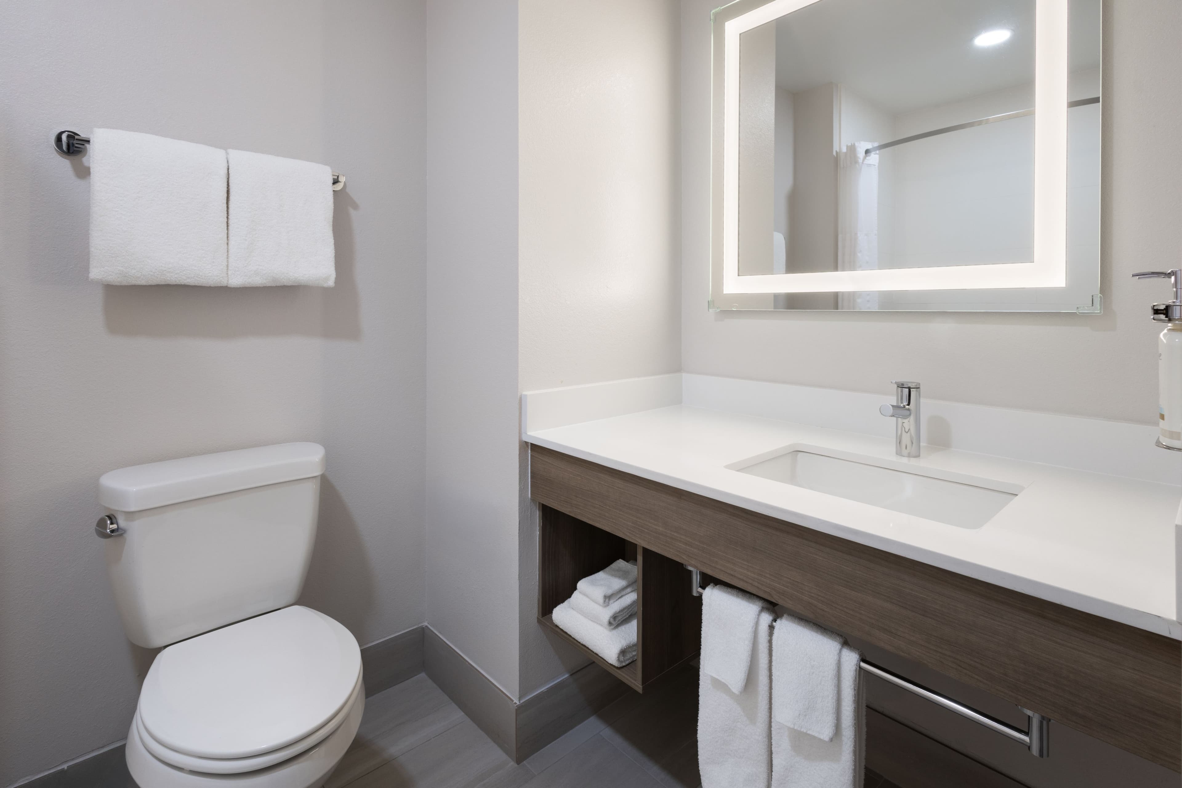 Holiday Inn Express & Suites Leesburg - Historic District — 23