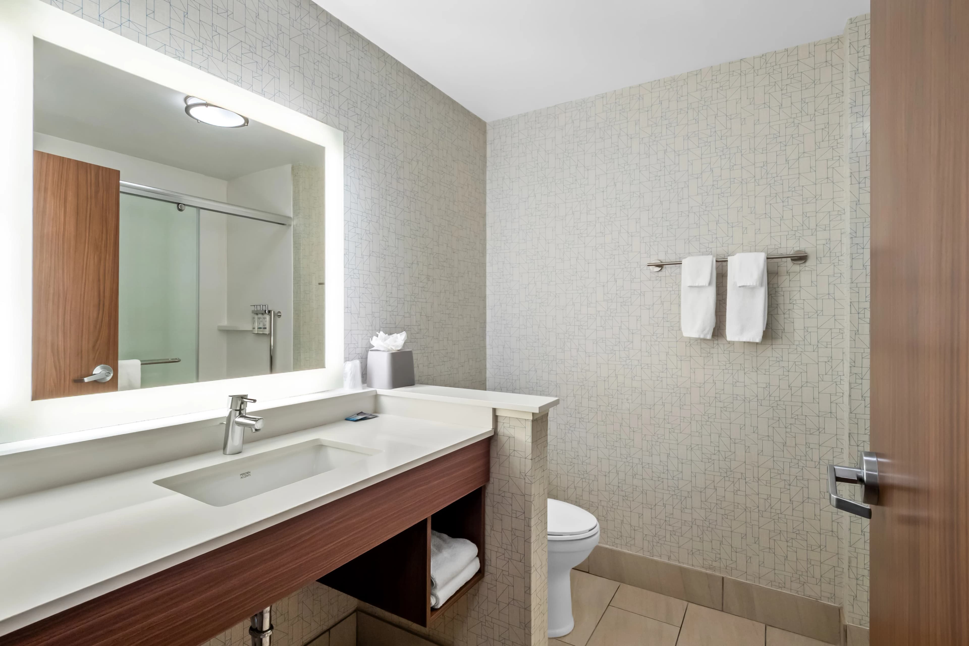 Holiday Inn Express & Suites Detroit Northwest - Livonia — 4