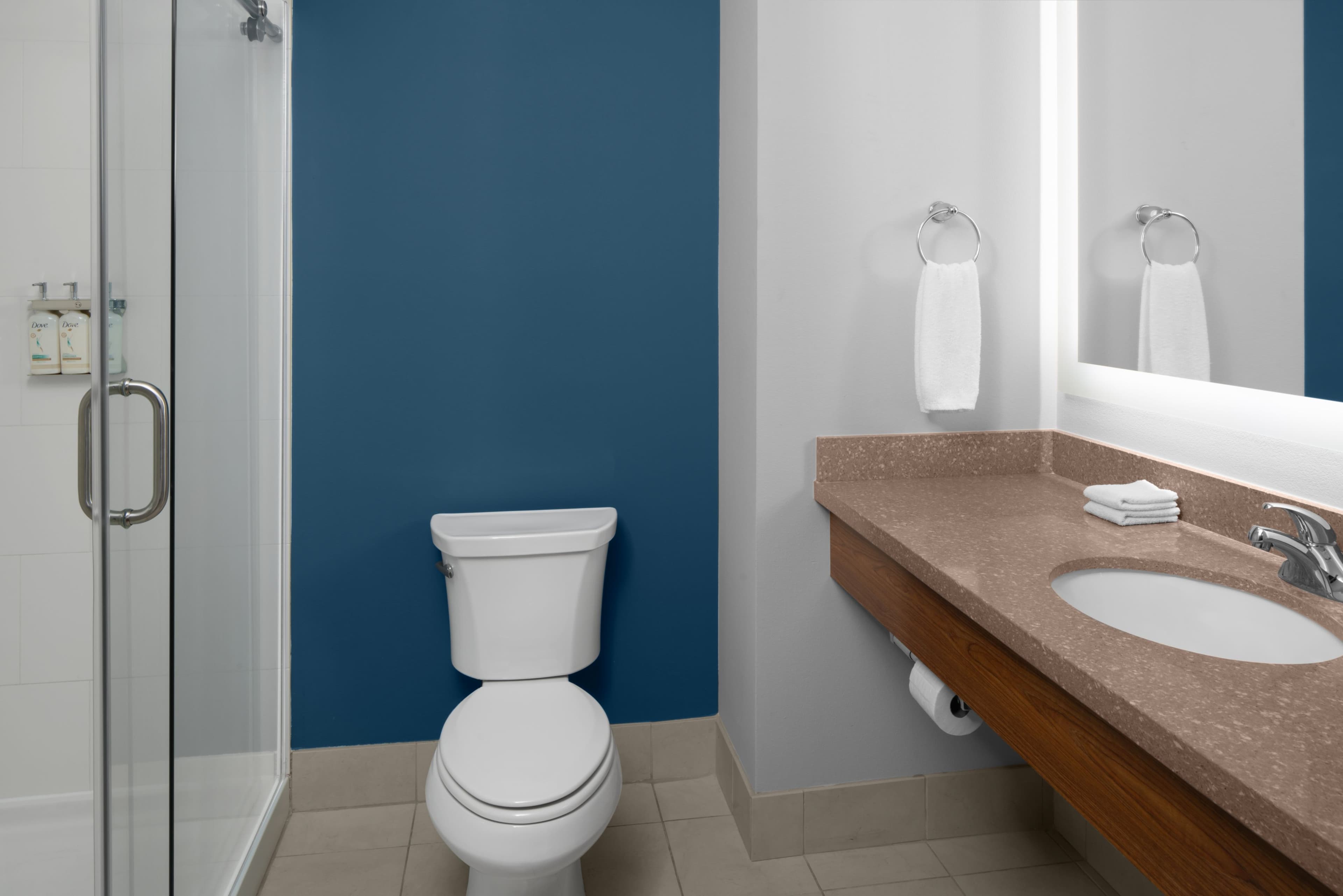 Holiday Inn Express & Suites Midland South I-20 — 5