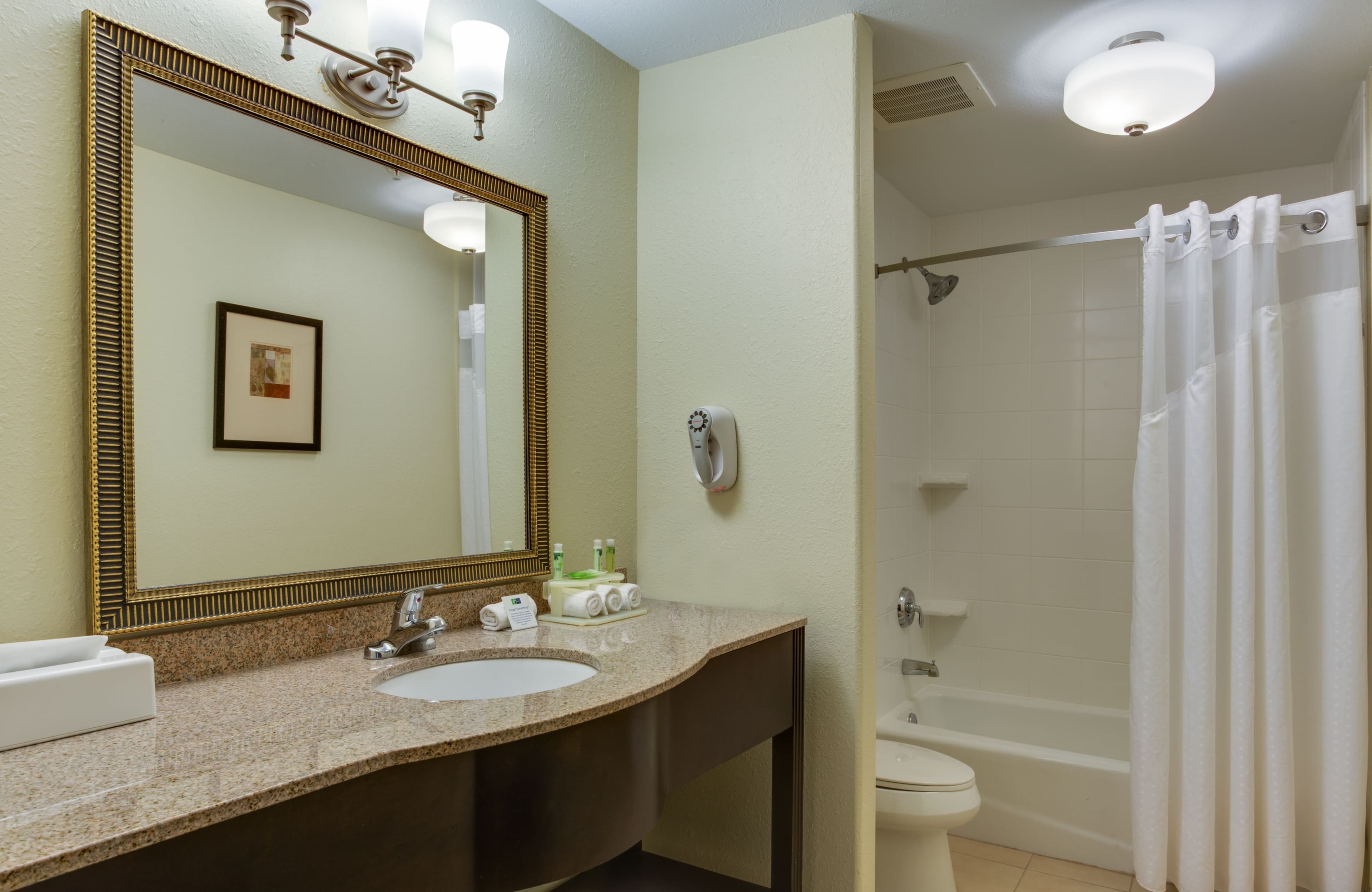 Holiday Inn Express & Suites Moultrie — 3