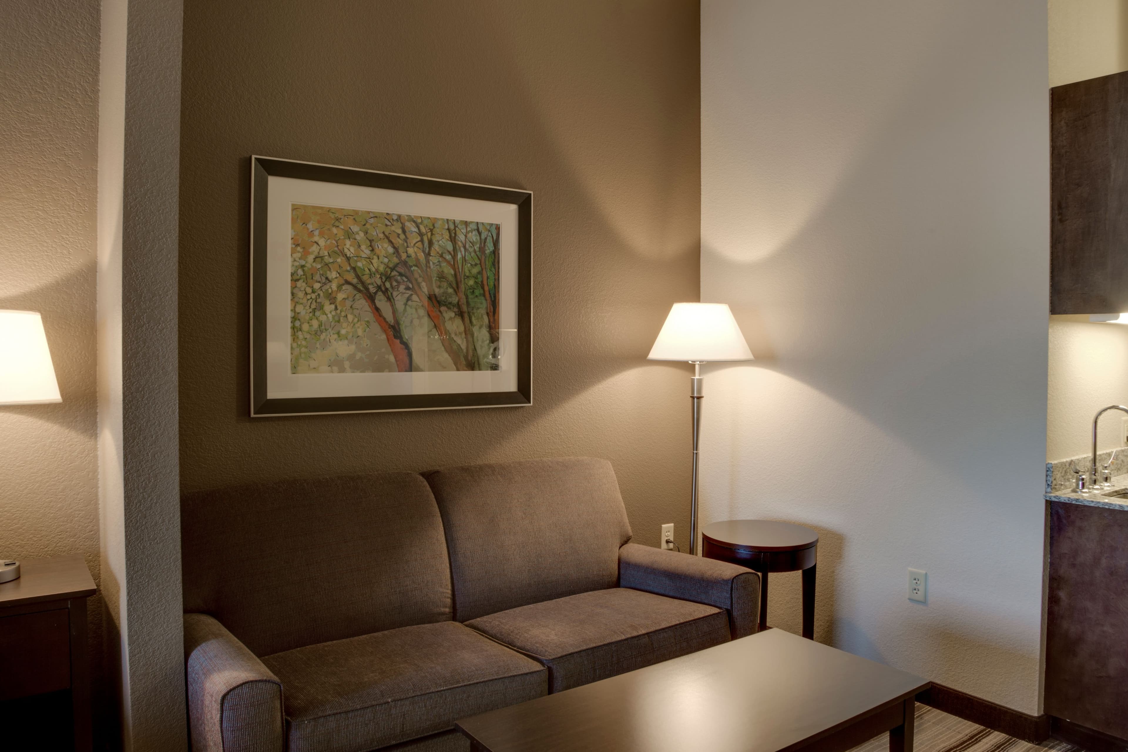 Holiday Inn Express & Suites Nevada — 17