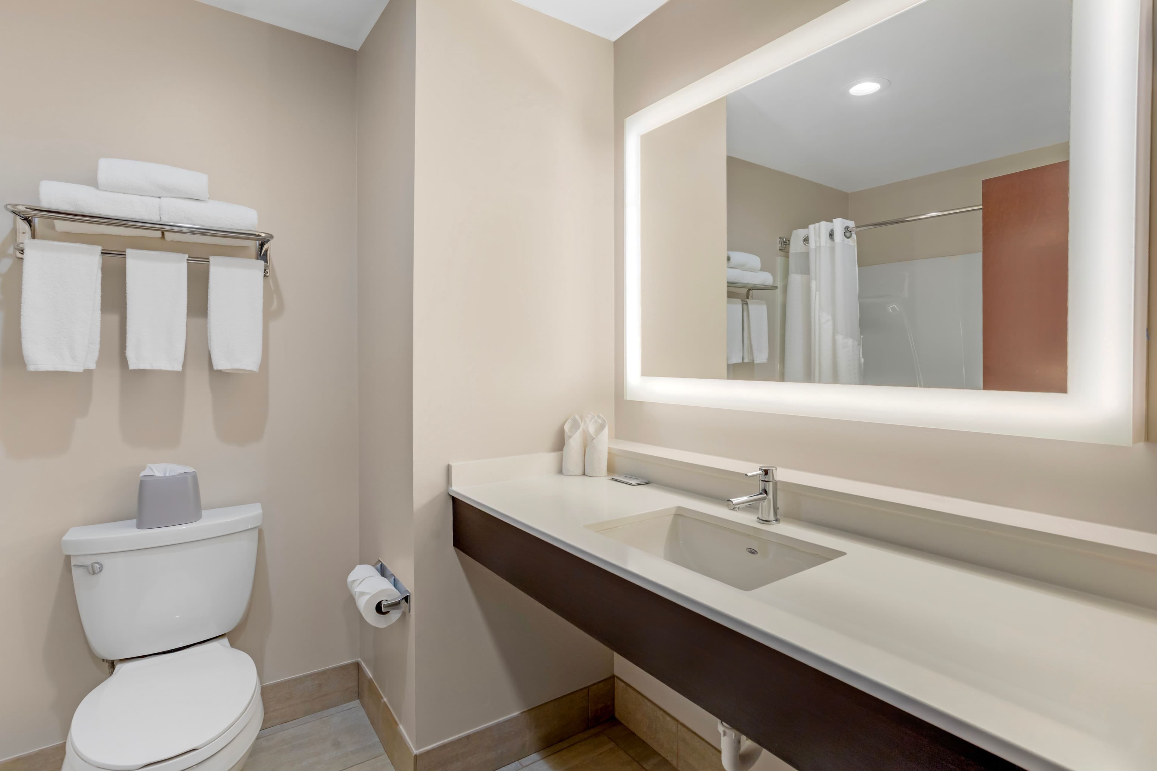 Holiday Inn Express & Suites Newton Sparta — 3