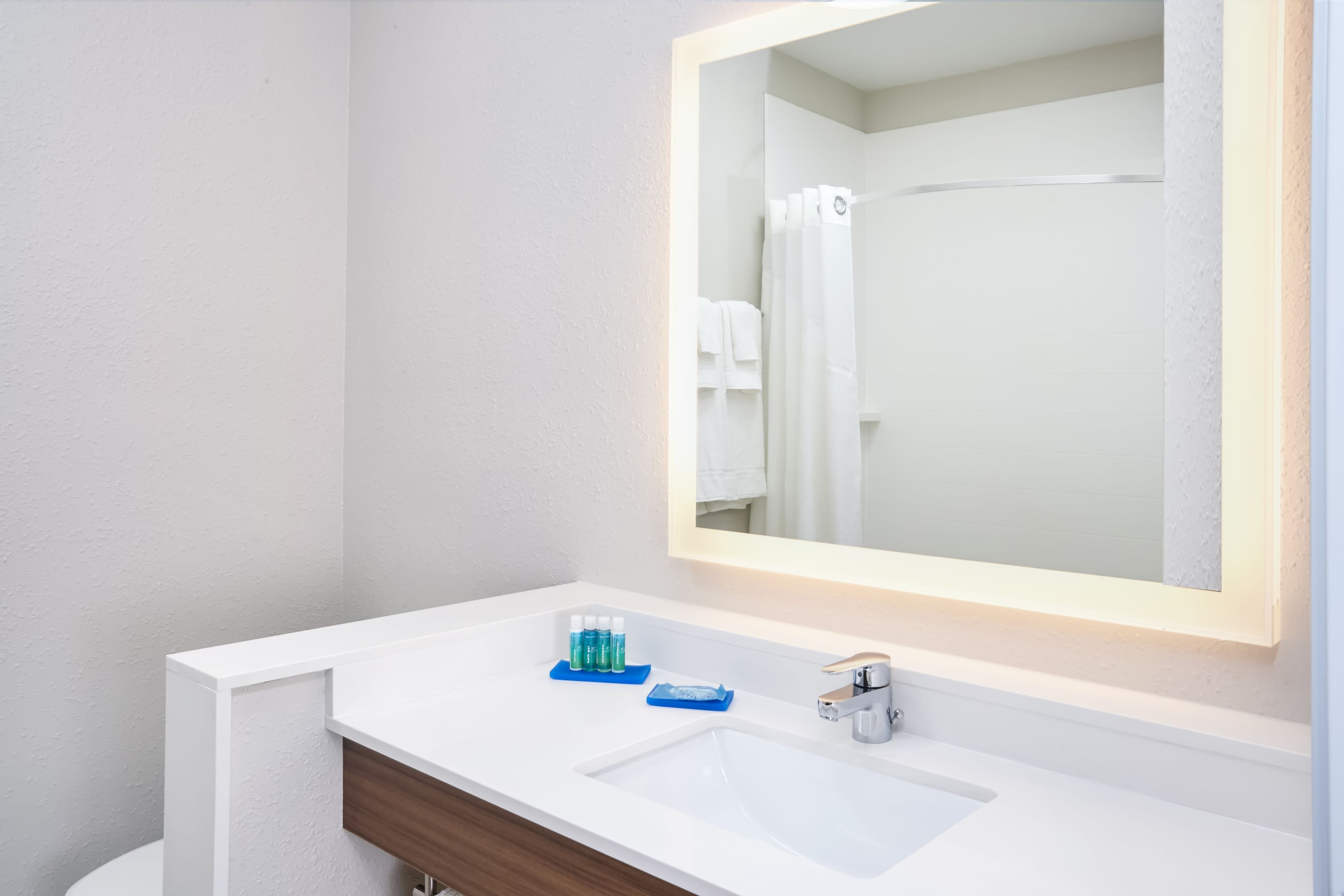 Holiday Inn Express & Suites Chicago North Shore - Niles - Image 3