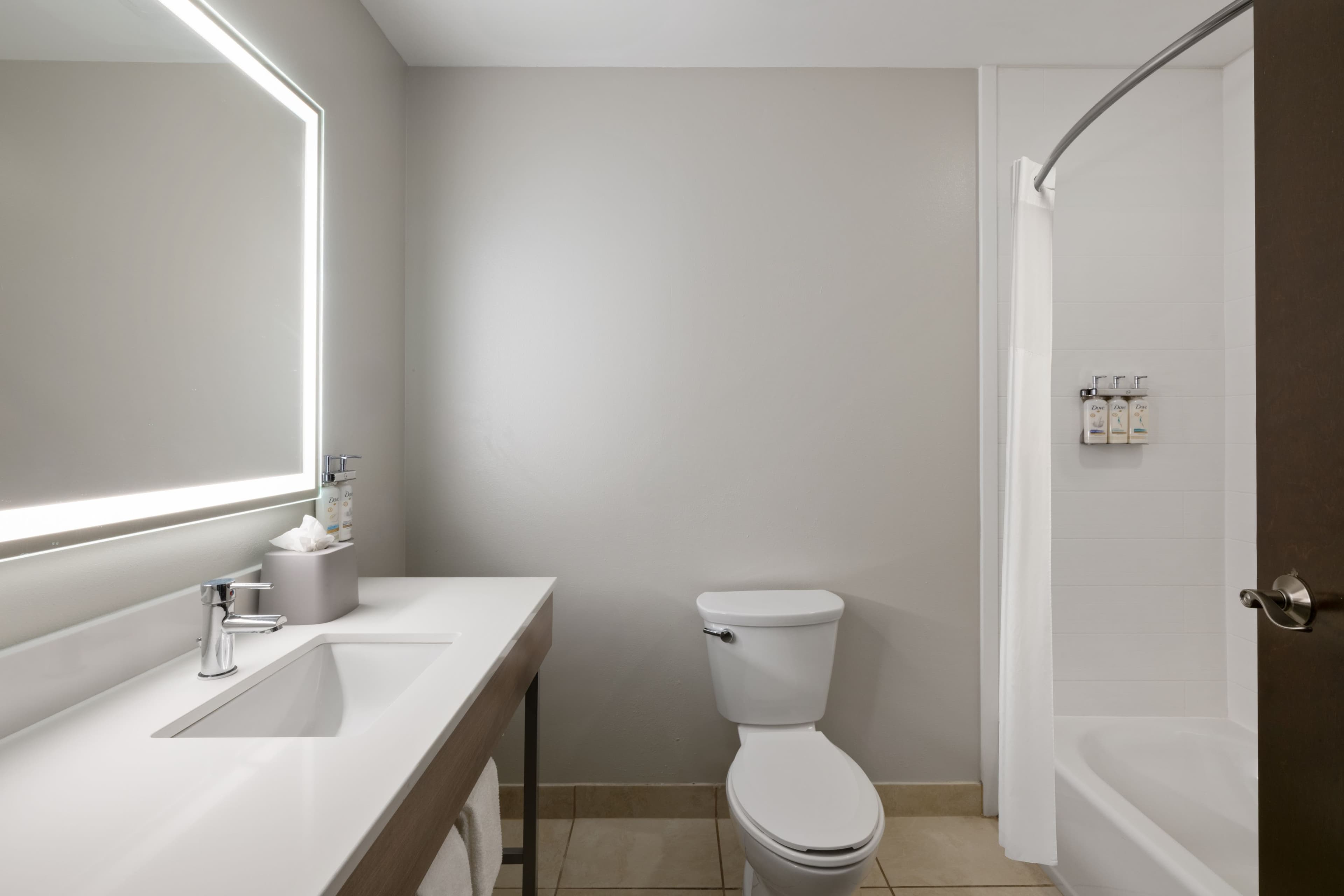 Holiday Inn Express & Suites Orlando East-UCF Area — 5