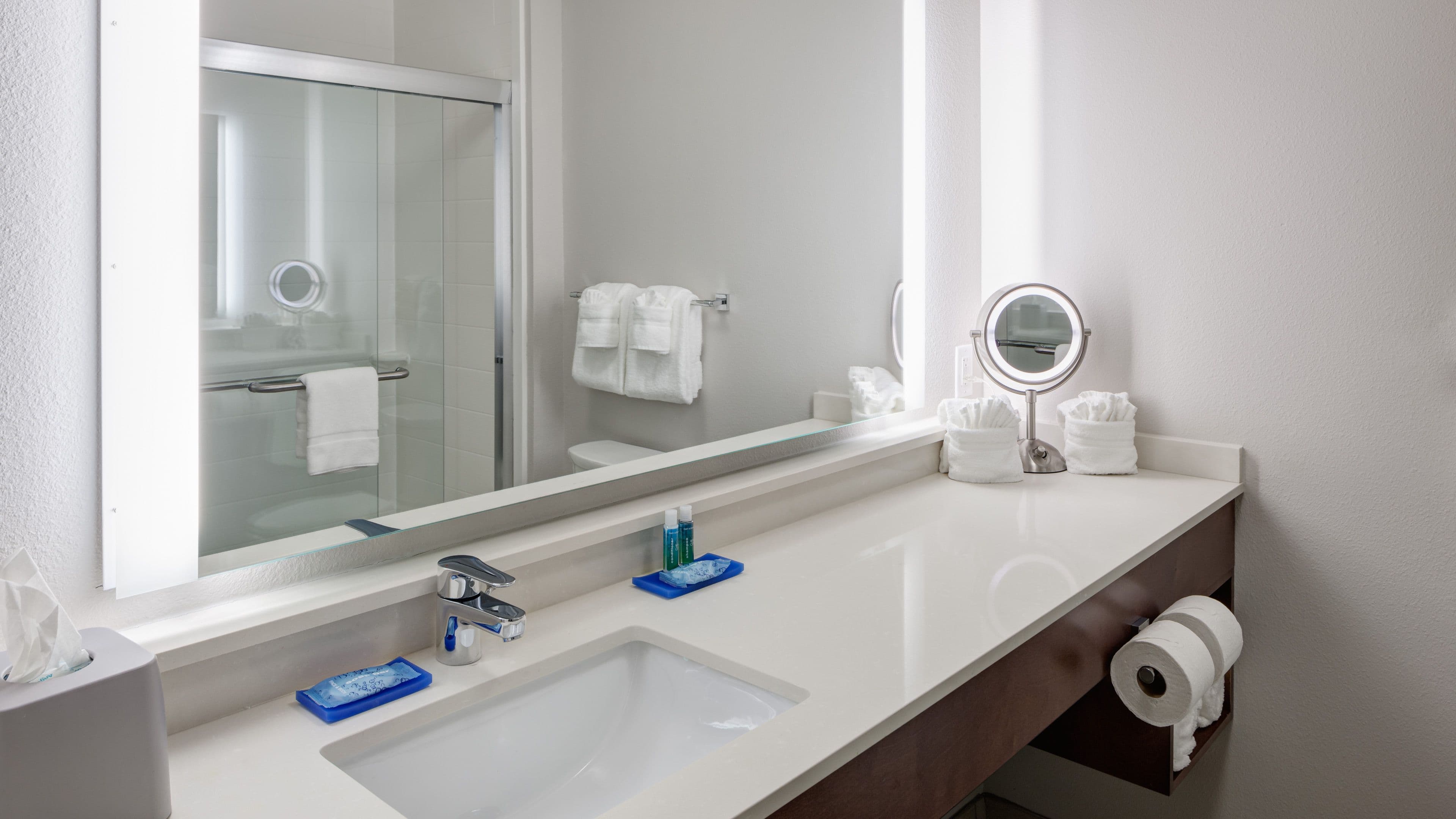 Holiday Inn Express & Suites Orlando At Seaworld — 9