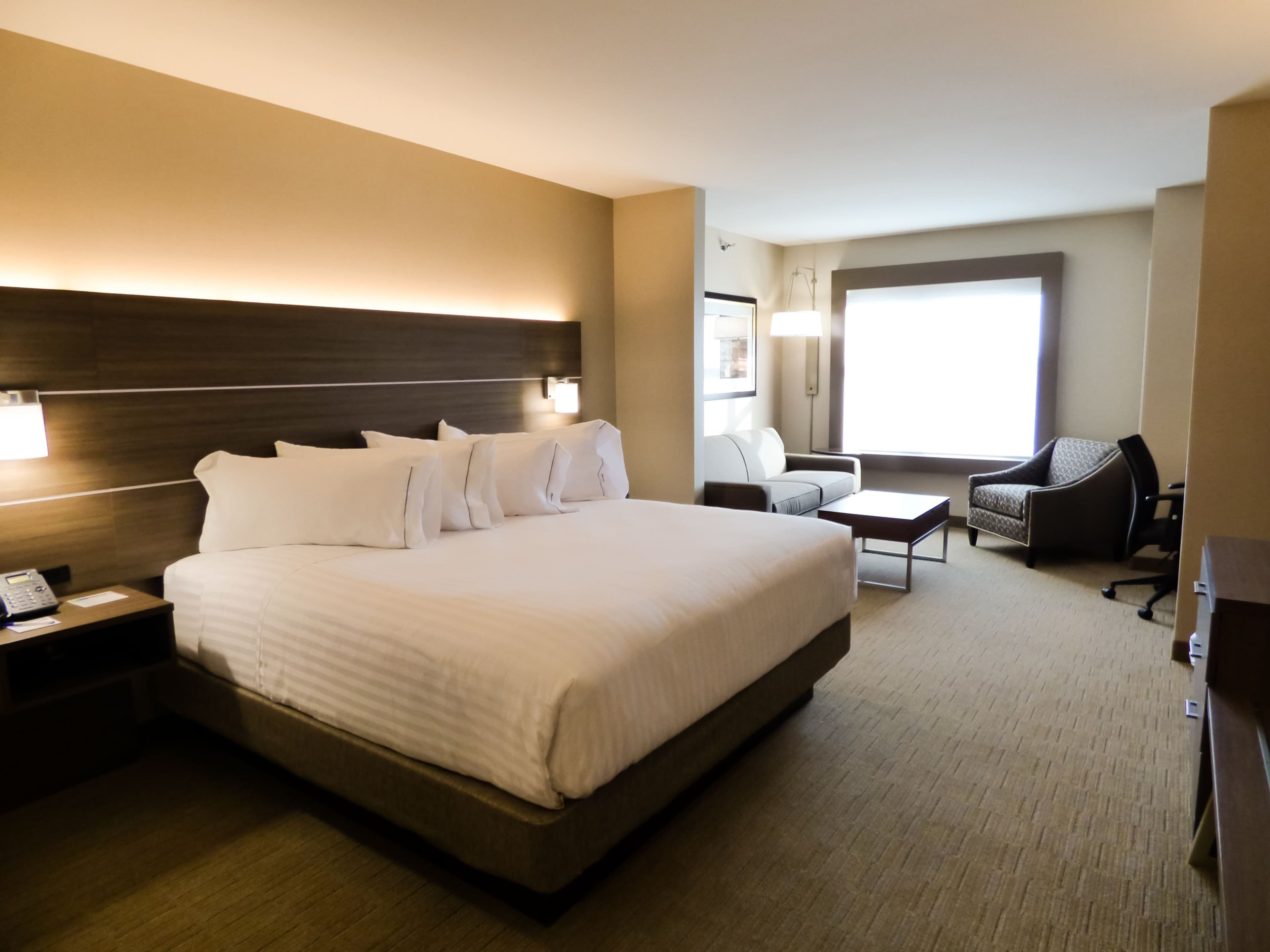 Holiday Inn Express & Suites Plymouth - Ann Arbor Area — 10