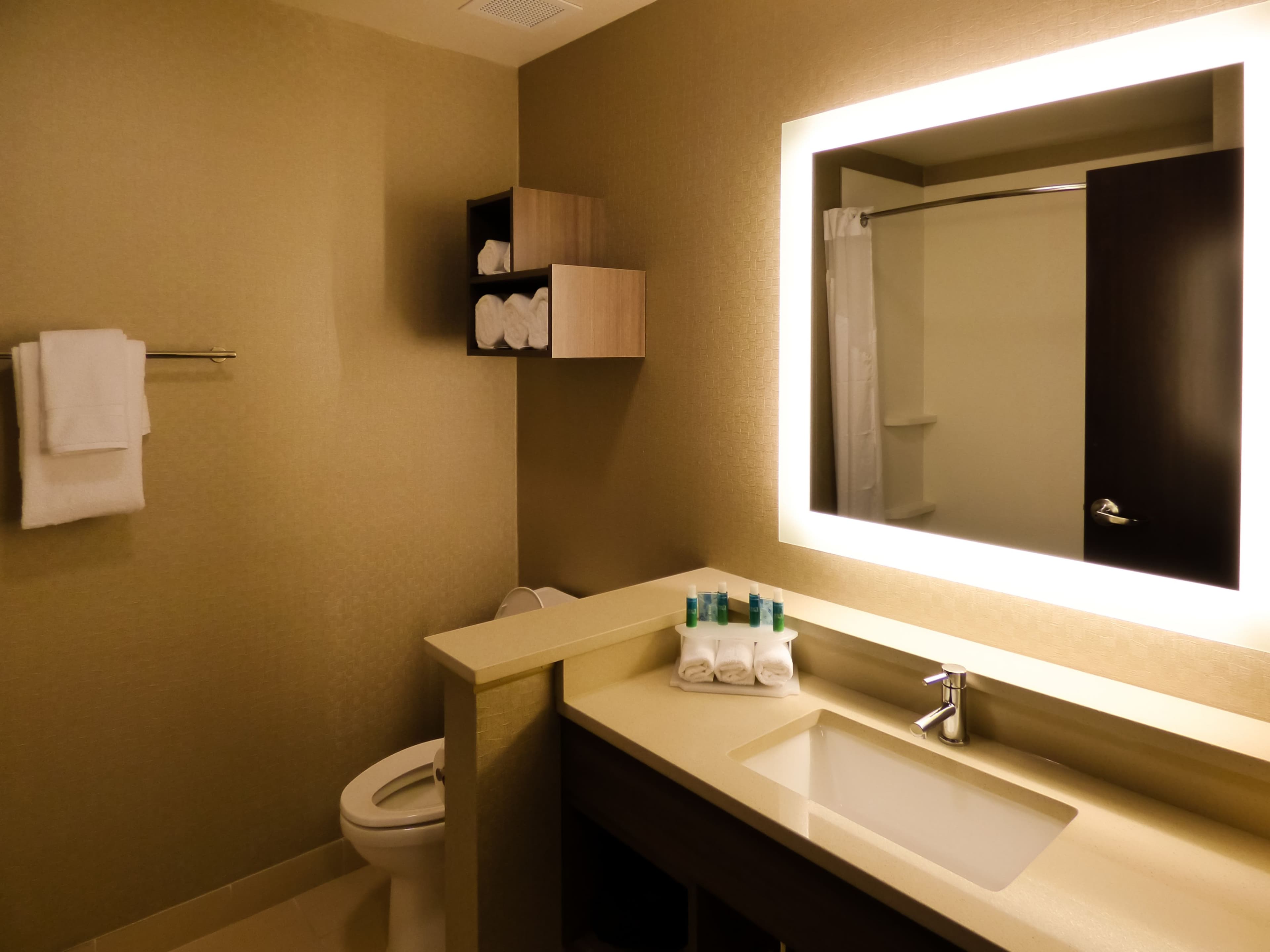 Holiday Inn Express & Suites Plymouth - Ann Arbor Area — 6