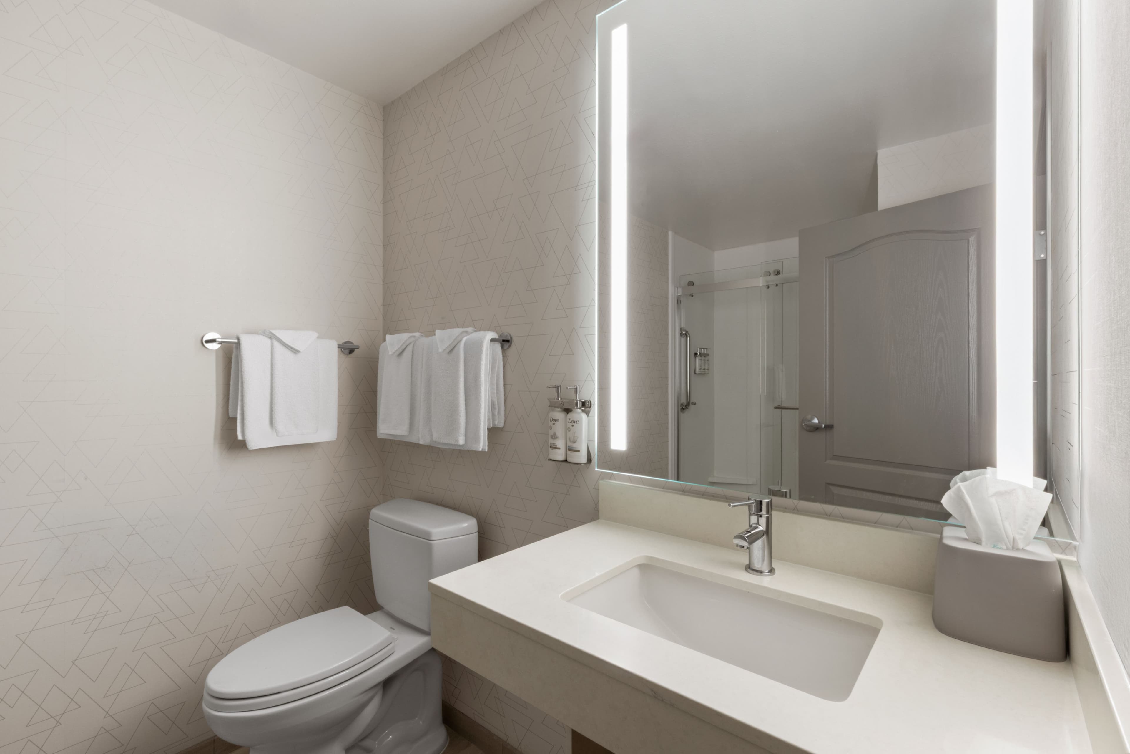 Holiday Inn Express & Suites Rapid City I-90 — 21