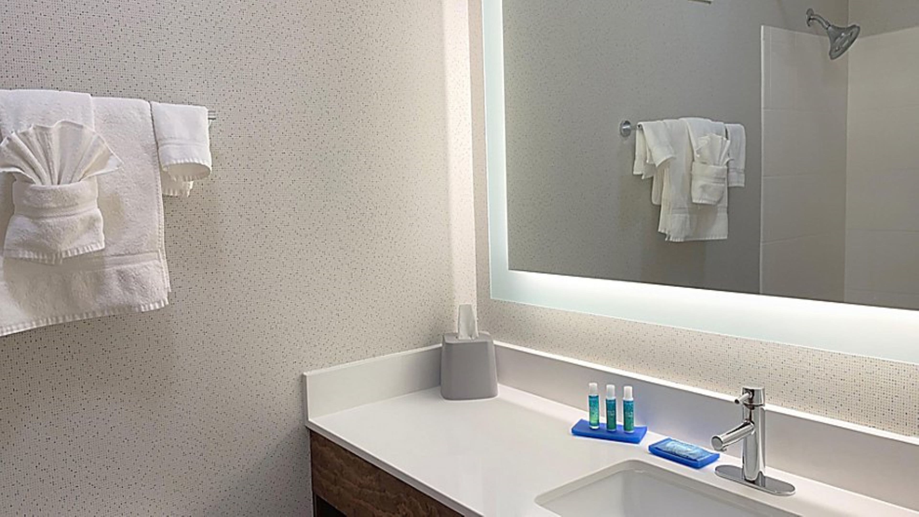 Holiday Inn Express & Suites Reidsville — 13