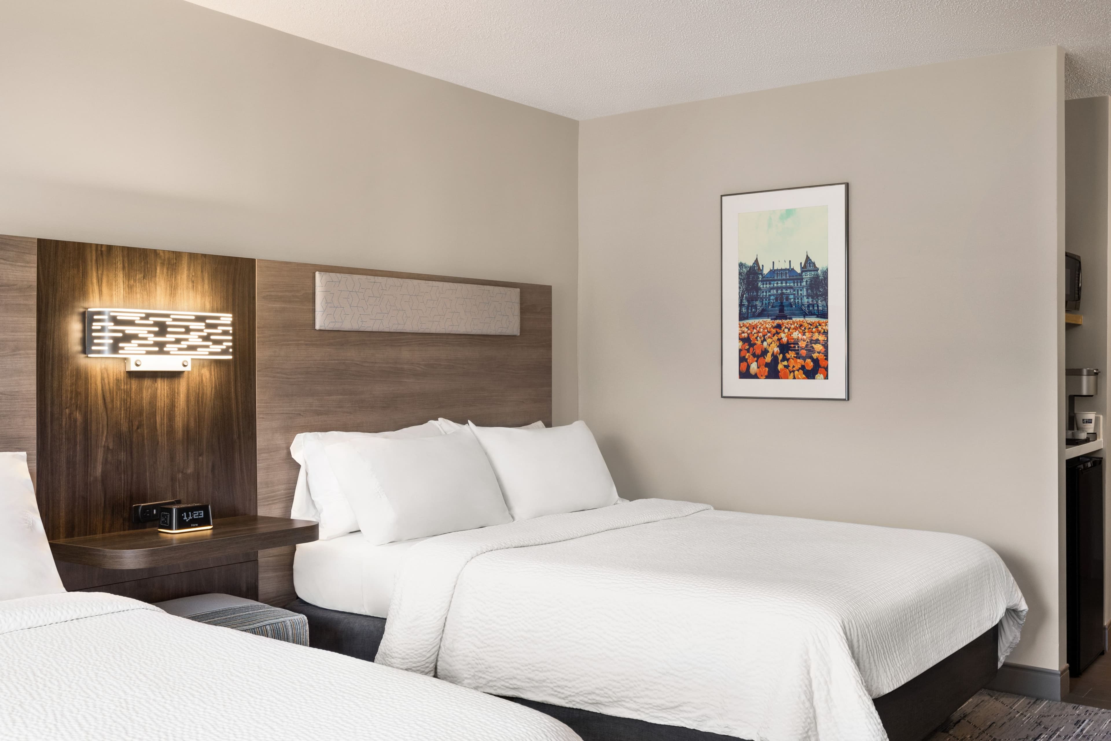 Holiday Inn Express & Suites East Greenbush(Albany-Skyline) — 12