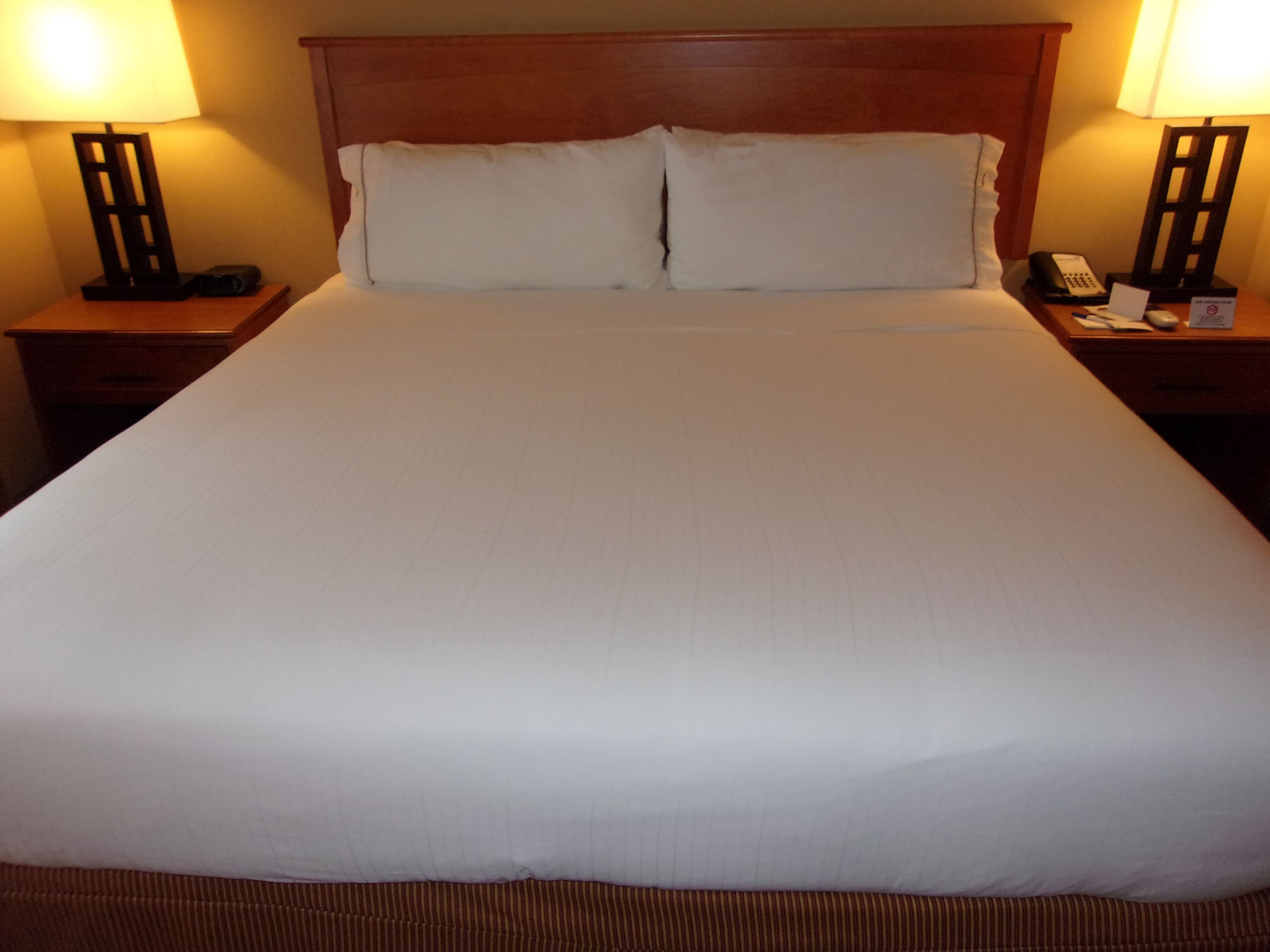 Holiday Inn Express & Suites Chicago West-Roselle - Image 3