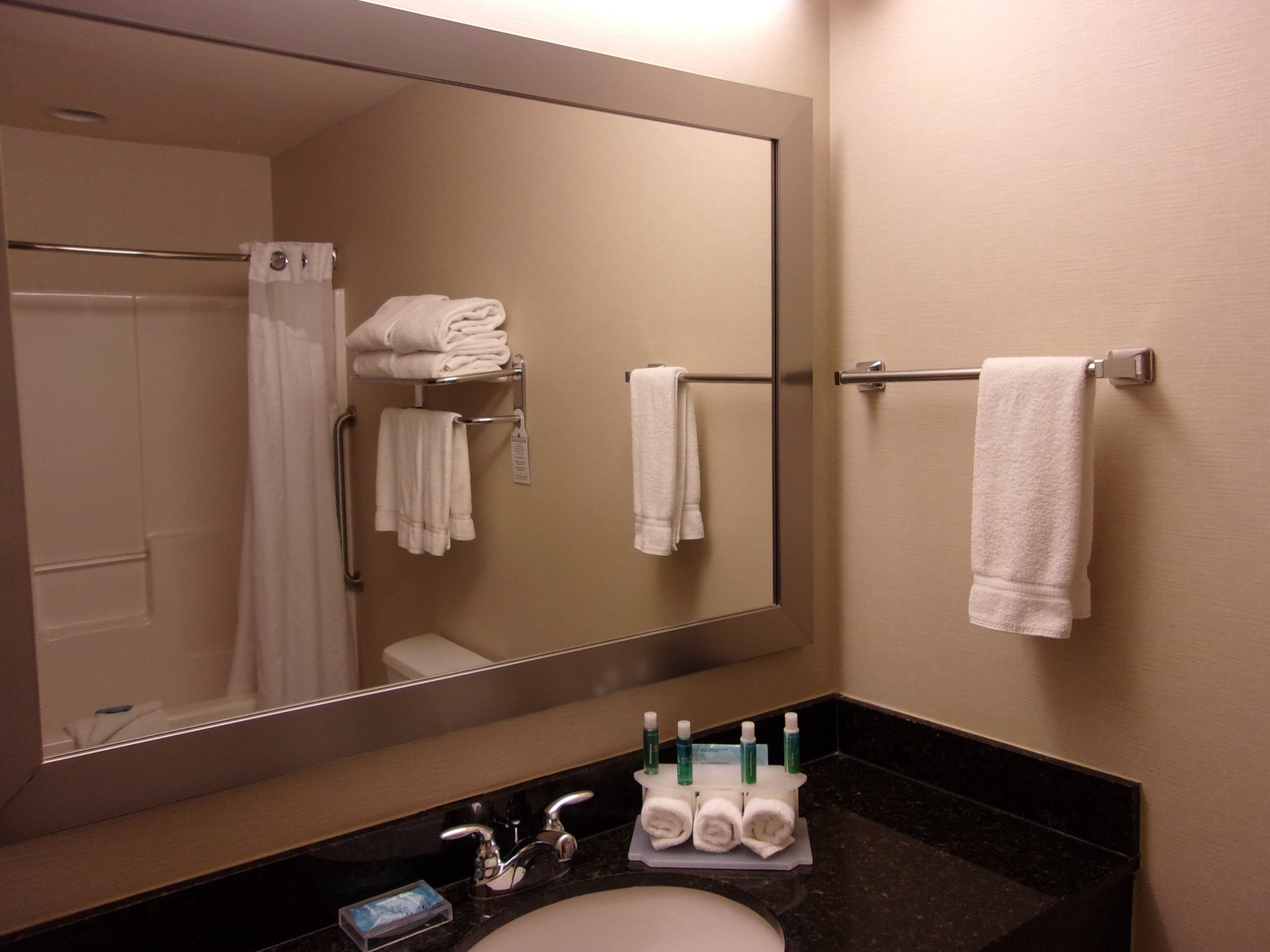 Holiday Inn Express & Suites Chicago West-Roselle - Image 5