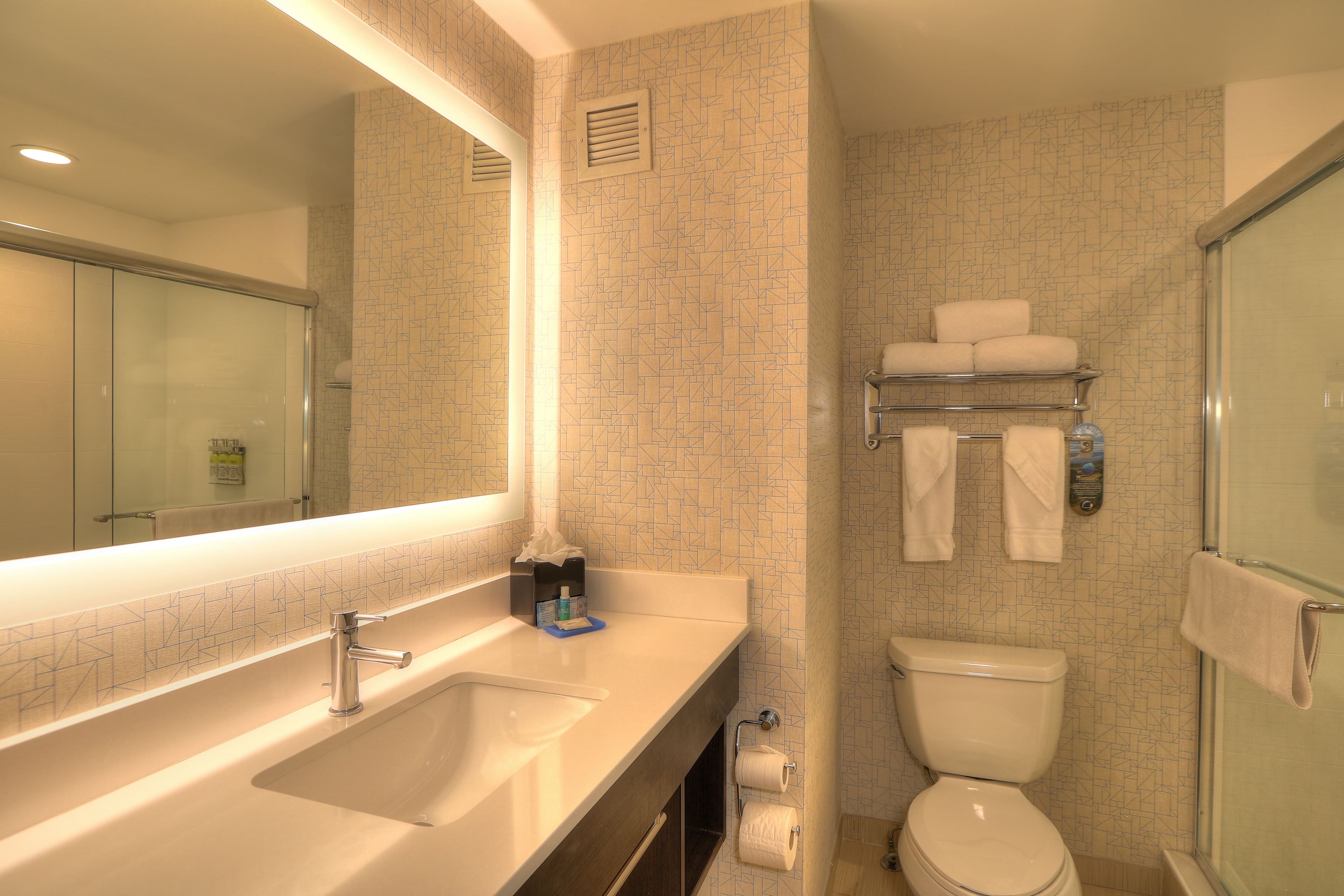 Holiday Inn Express & Suites Mobile/Saraland — 18