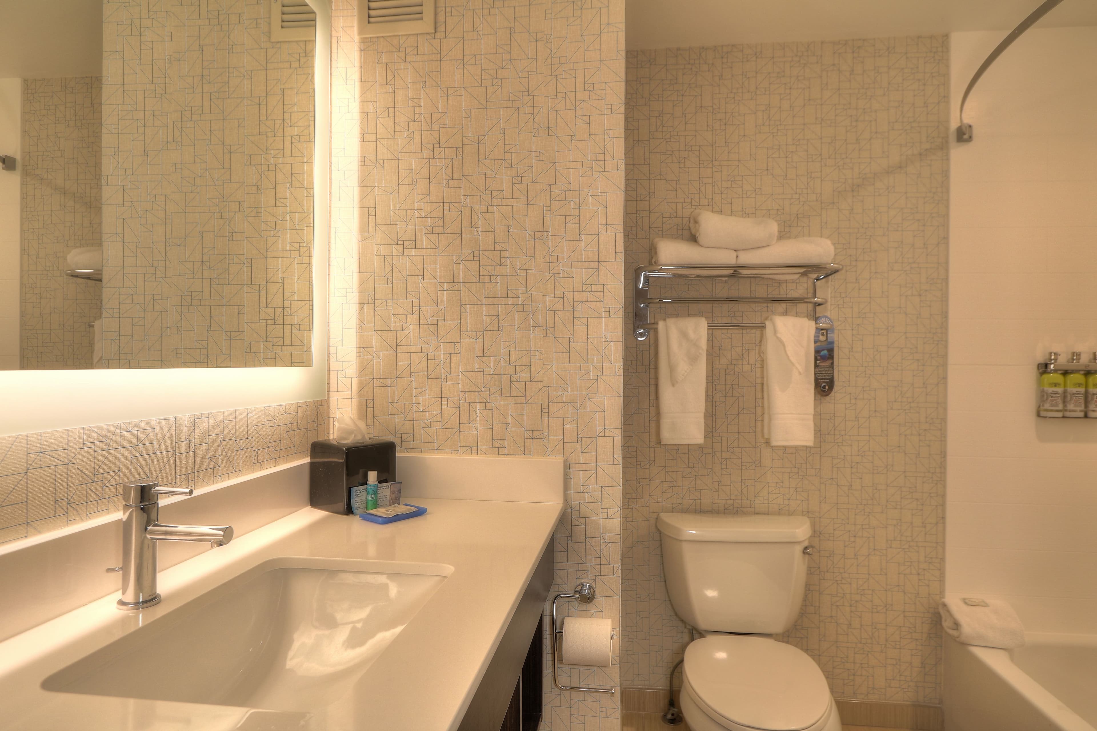 Holiday Inn Express & Suites Mobile/Saraland — 36