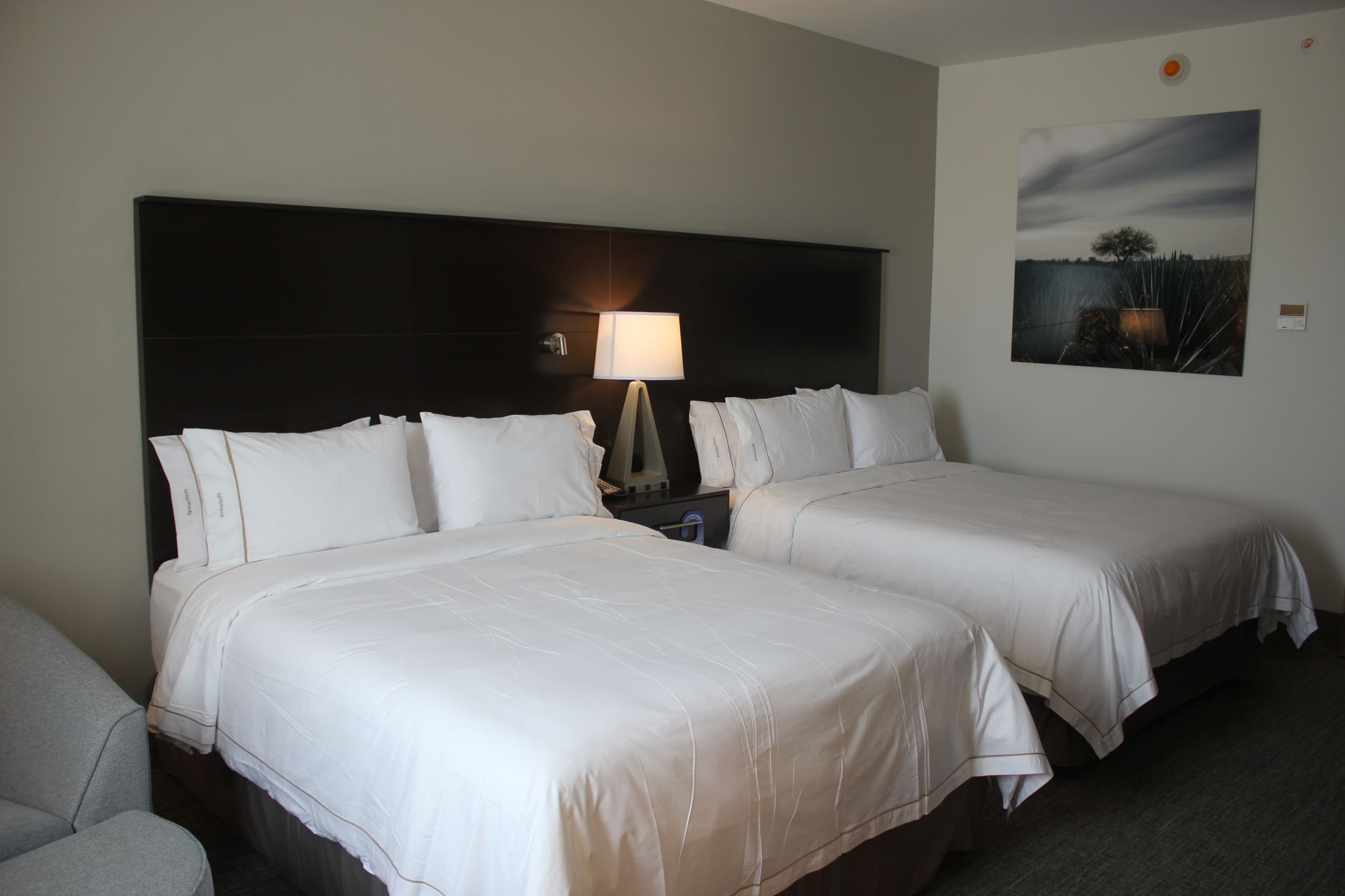 Holiday Inn Express & Suites Silao Aeropuerto - Terminal — 22