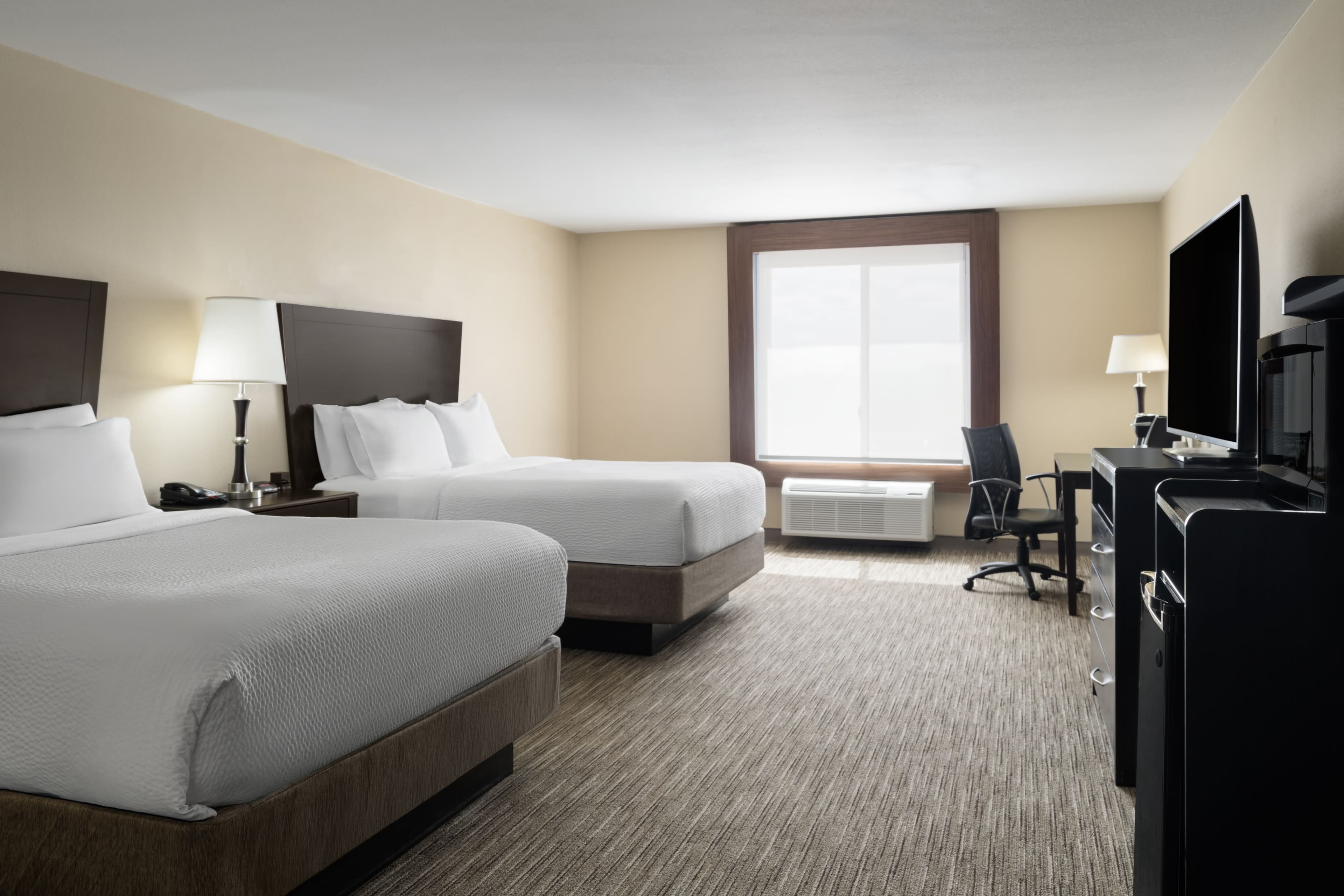 Holiday Inn Express & Suites Snyder — 8