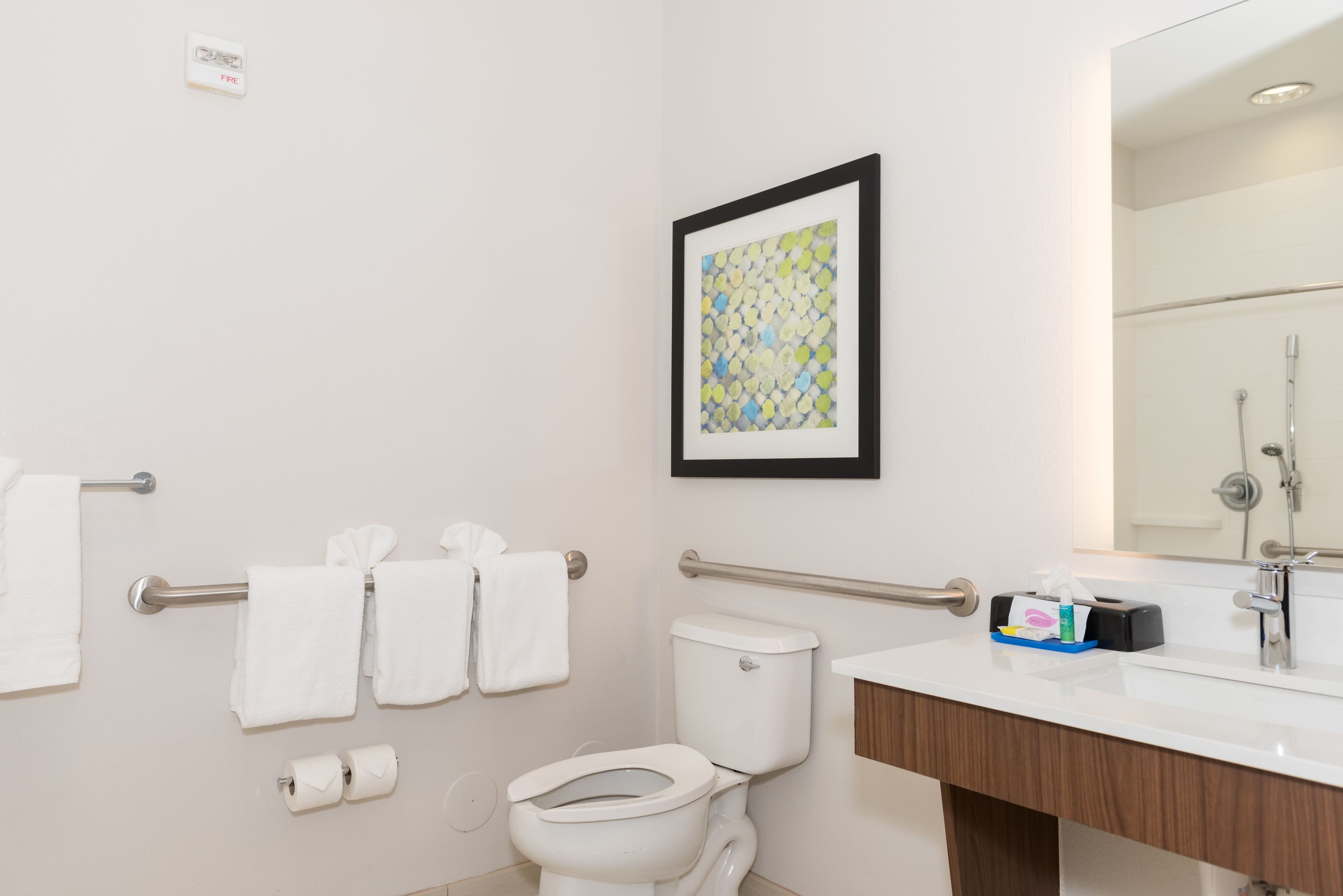 Holiday Inn Express & Suites Tampa -USF-Busch Gardens — 15