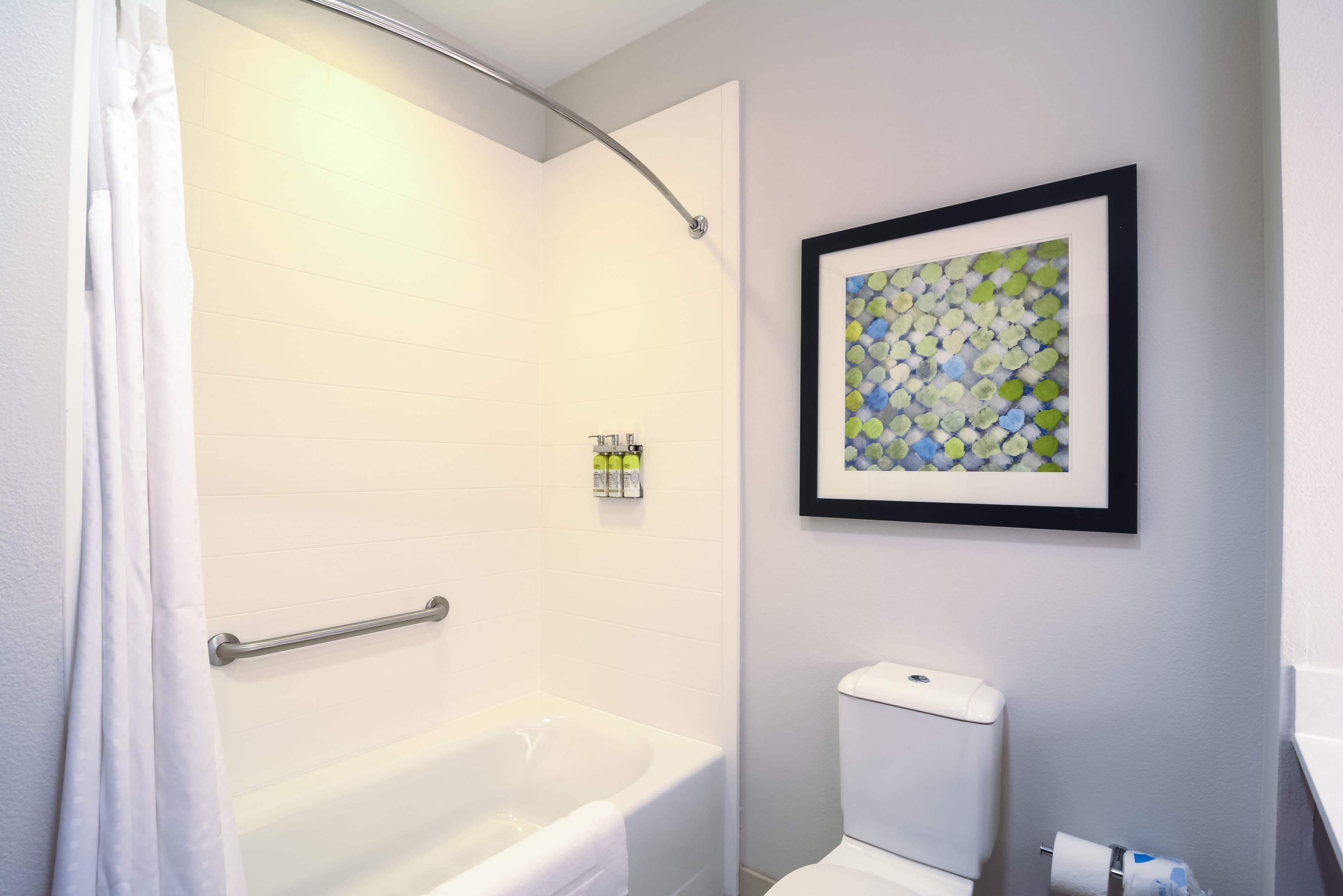 Holiday Inn Express & Suites Tampa -USF-Busch Gardens — 10