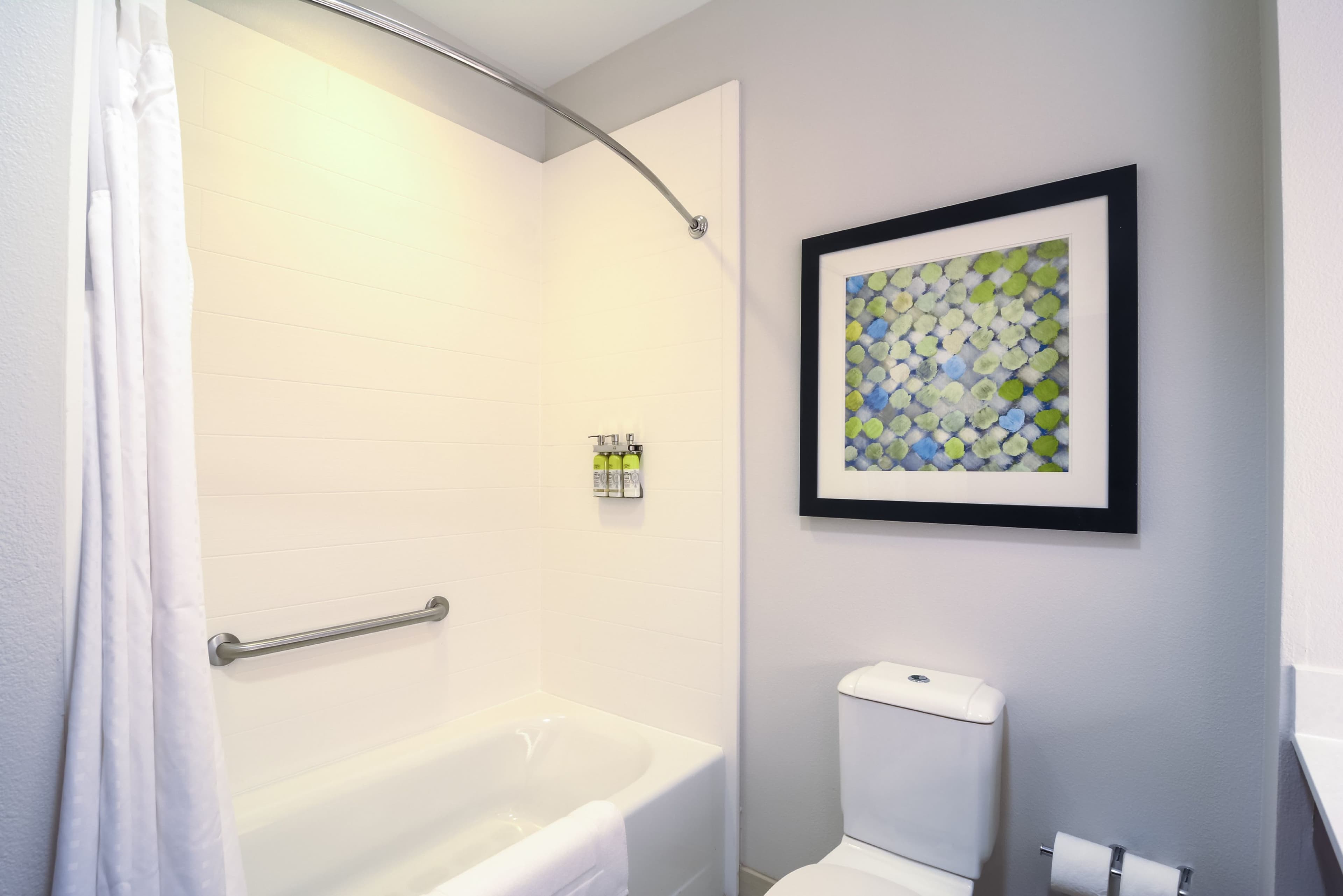 Holiday Inn Express & Suites Tampa -USF-Busch Gardens — 9