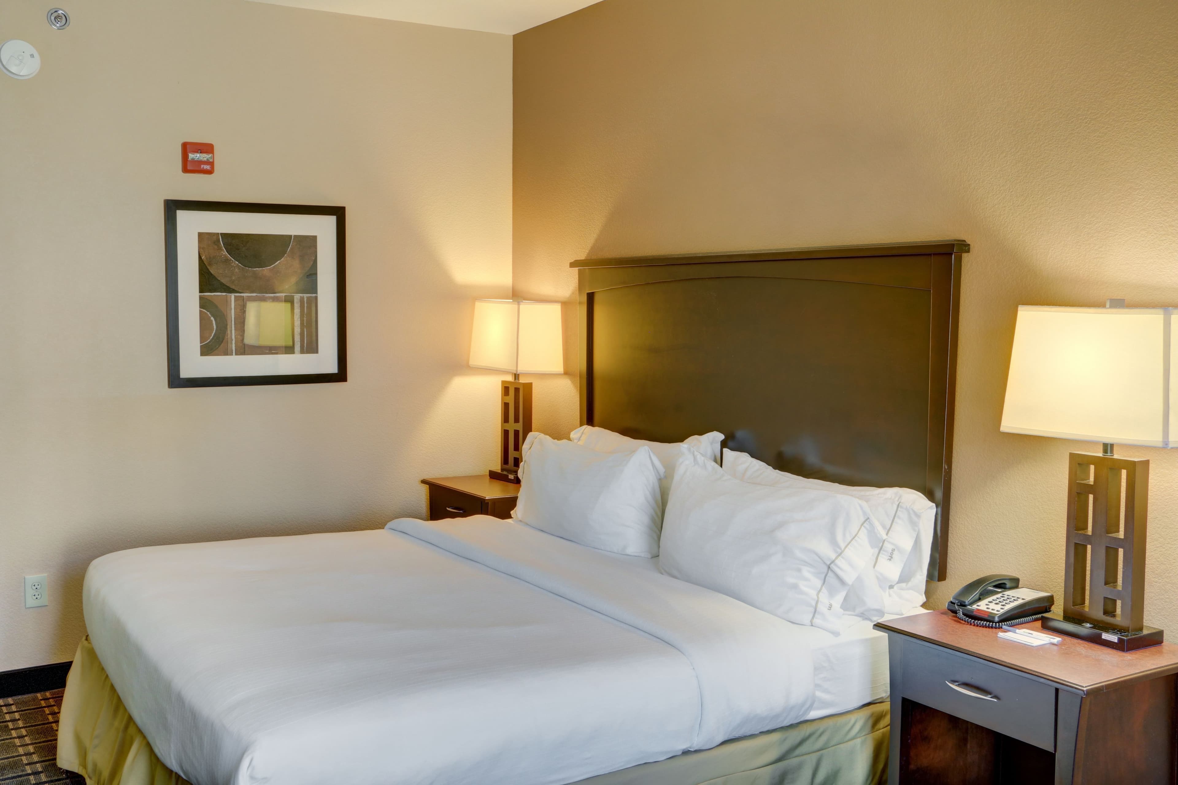 Holiday Inn Express & Suites Texarkana East — 8