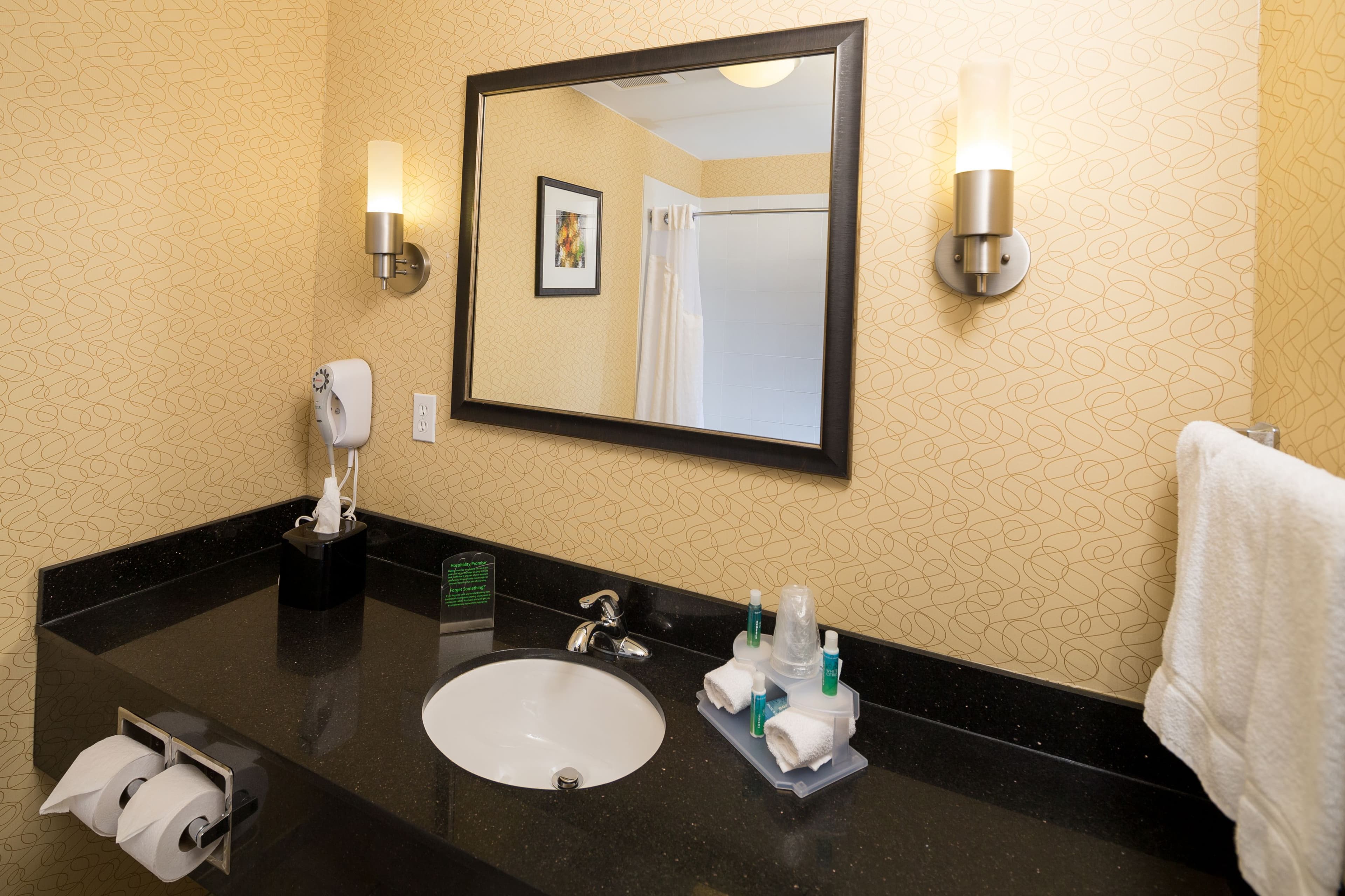 Holiday Inn Express & Suites Detroit North - Troy - Image 4