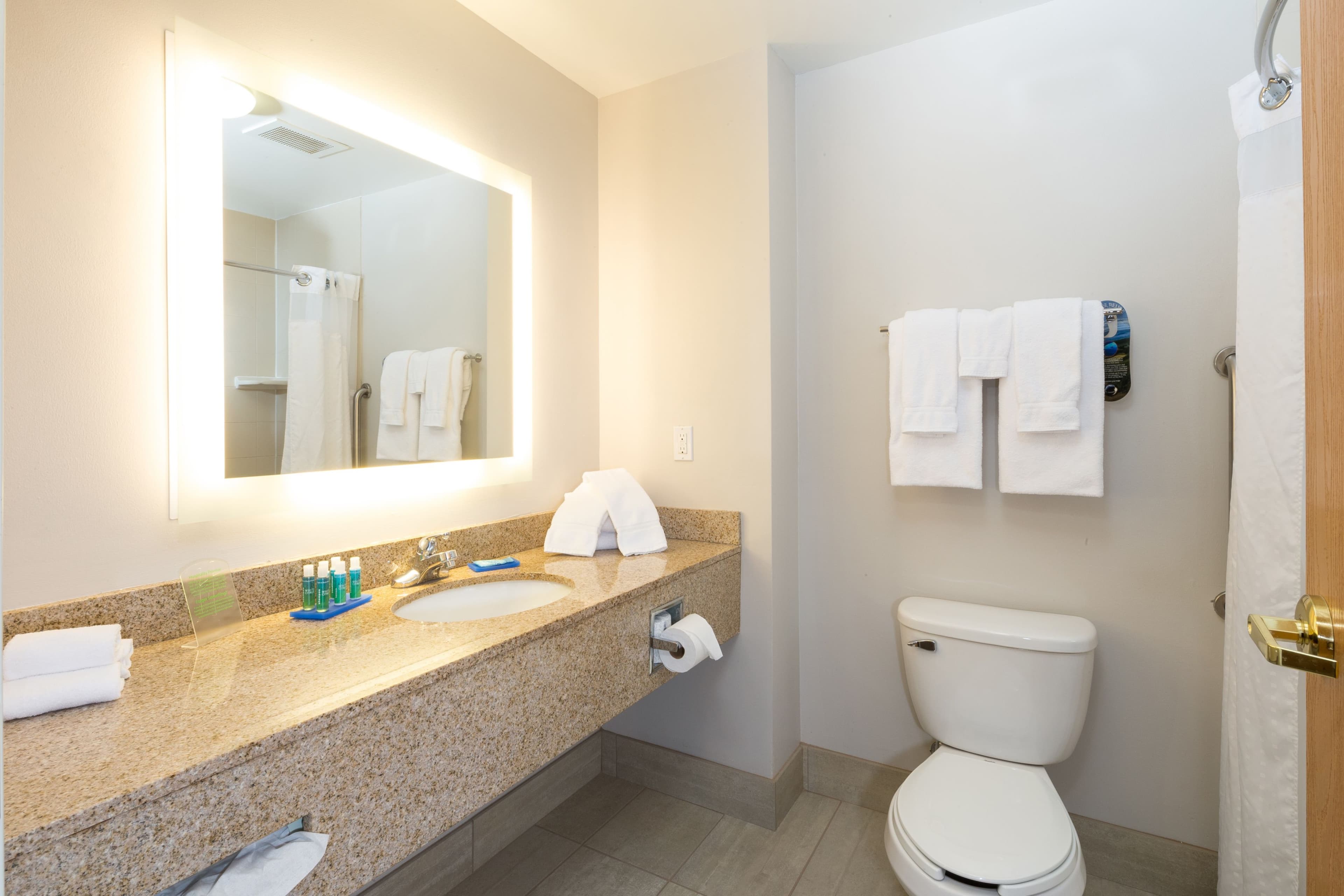 Holiday Inn Express & Suites Detroit - Utica - Image 4