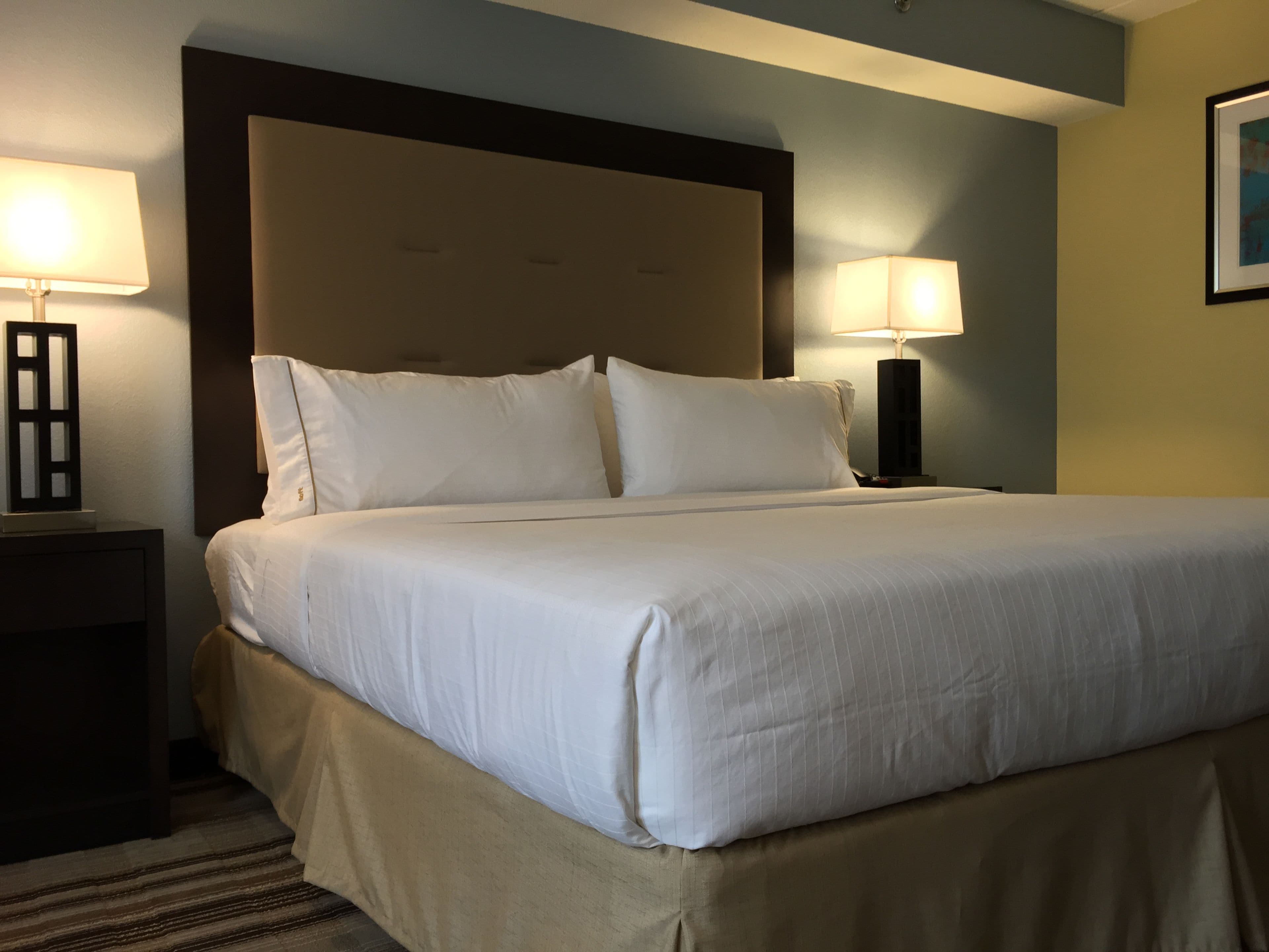 Holiday Inn Express Chicago NW - Arlington Heights - Image 5