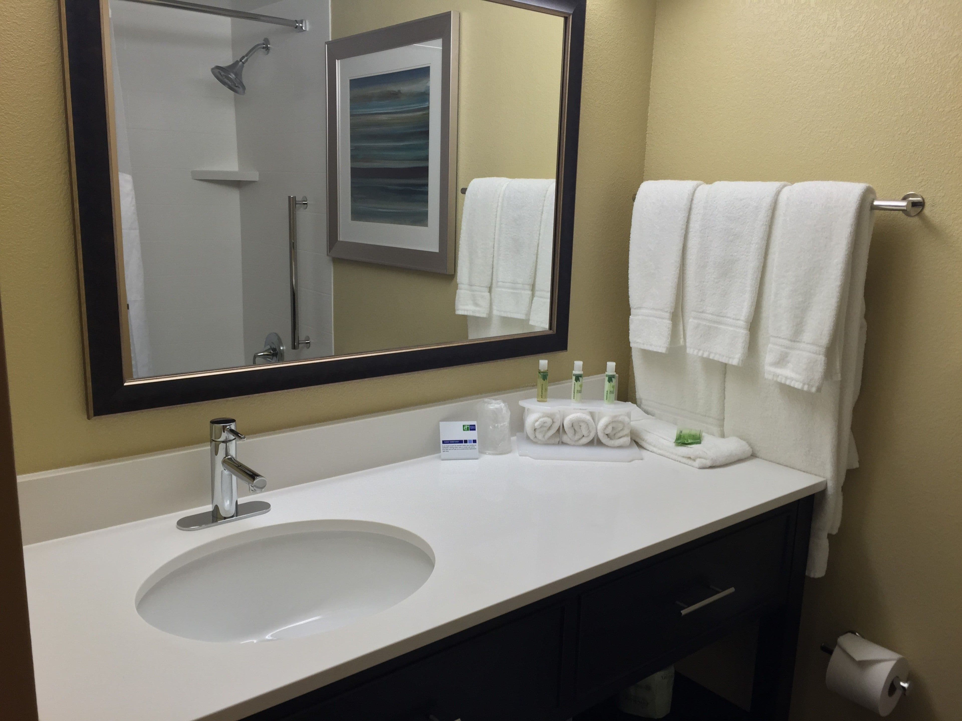 Holiday Inn Express Chicago NW - Arlington Heights — 20