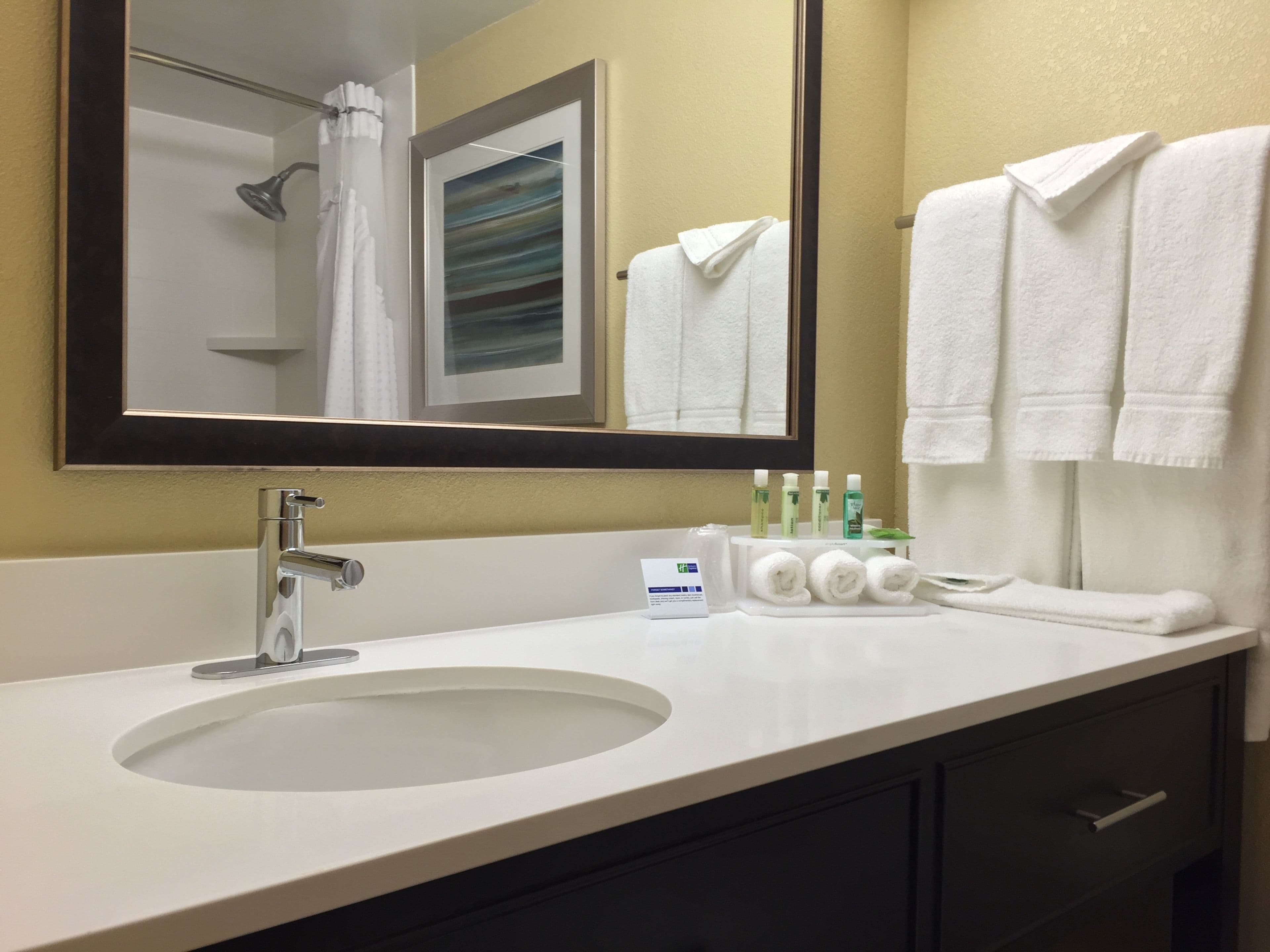 Holiday Inn Express Chicago NW - Arlington Heights — 8