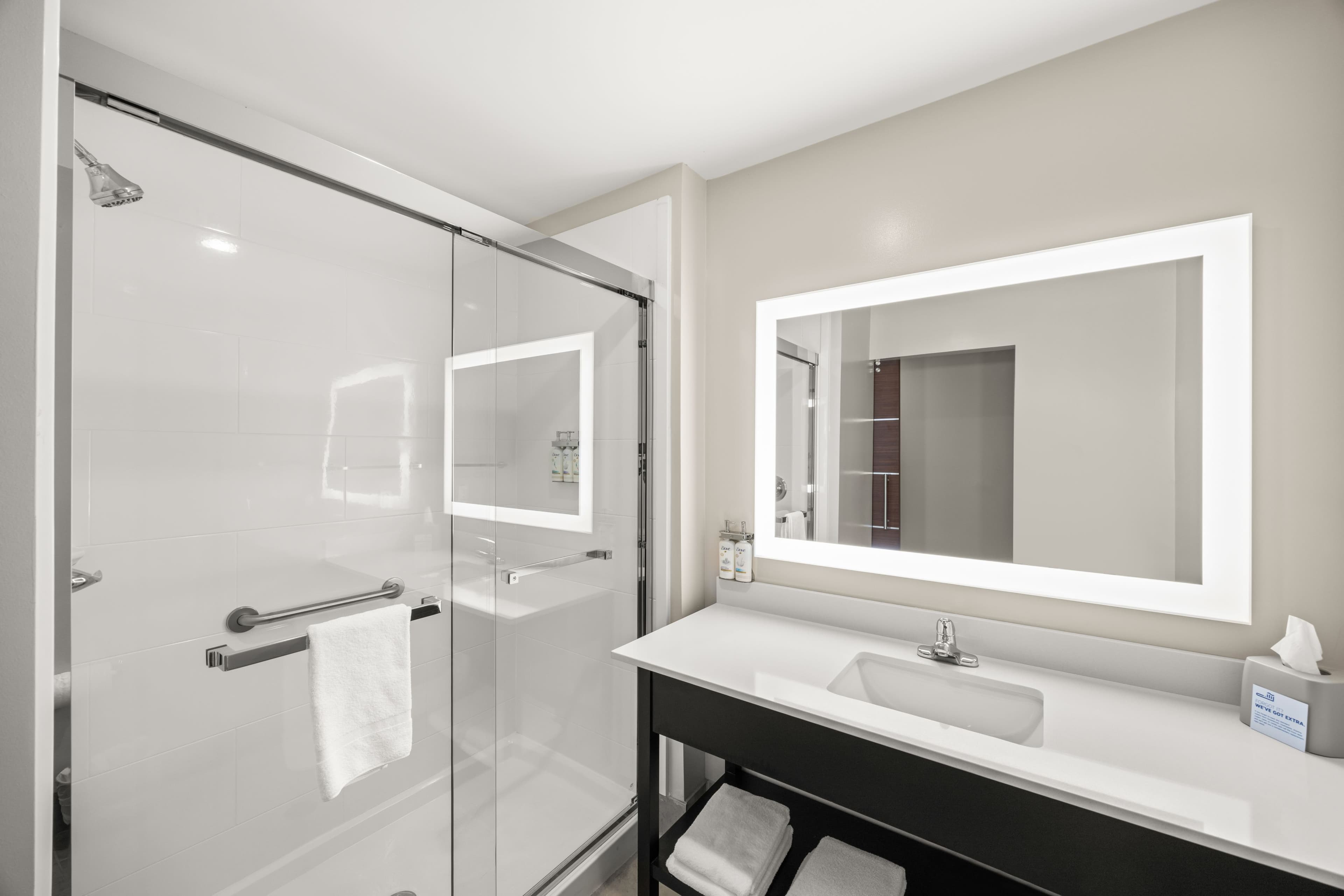Holiday Inn Express Asheville - Woodfin — 20