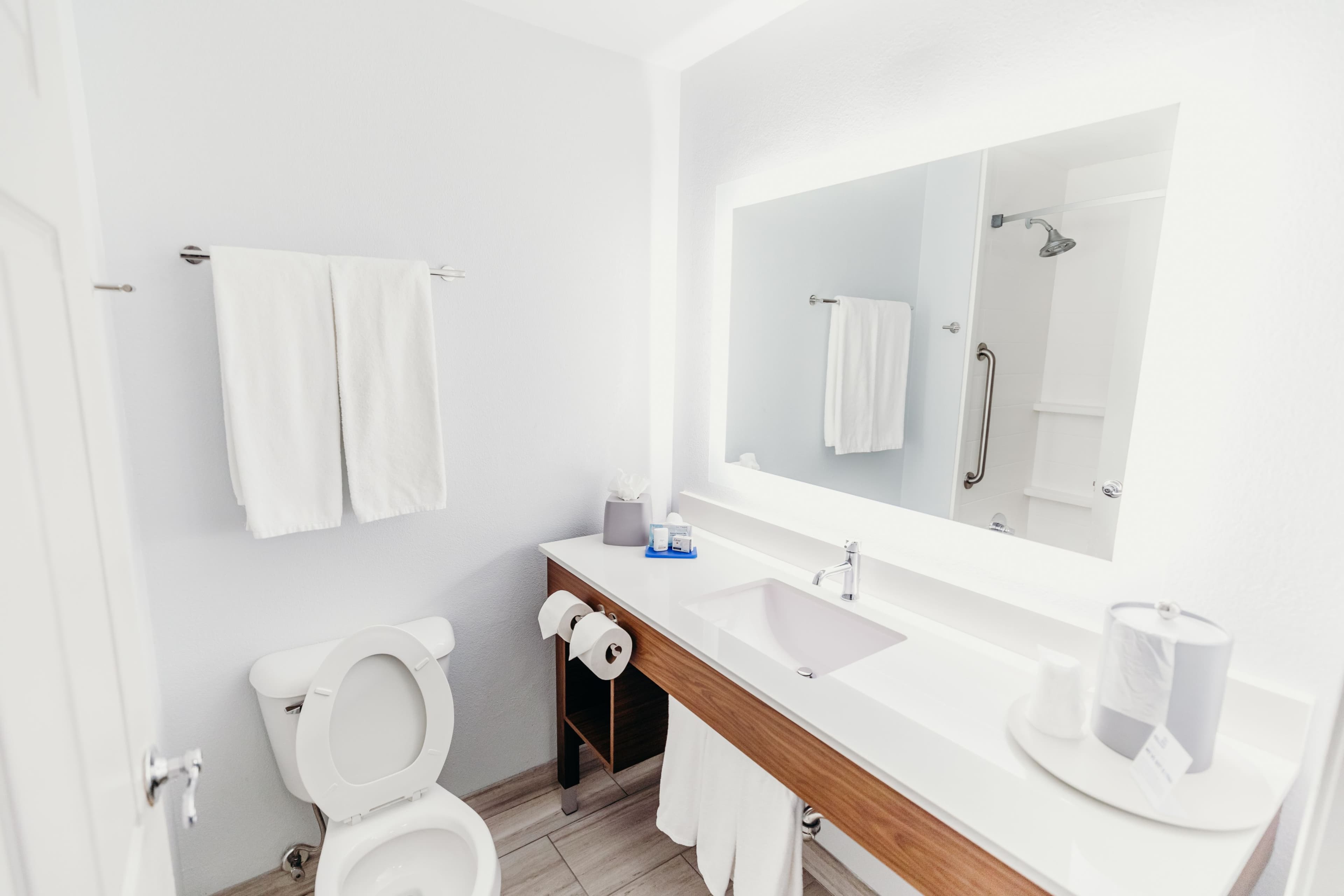 Holiday Inn Express Atlanta NE - I-85 Clairmont — 18