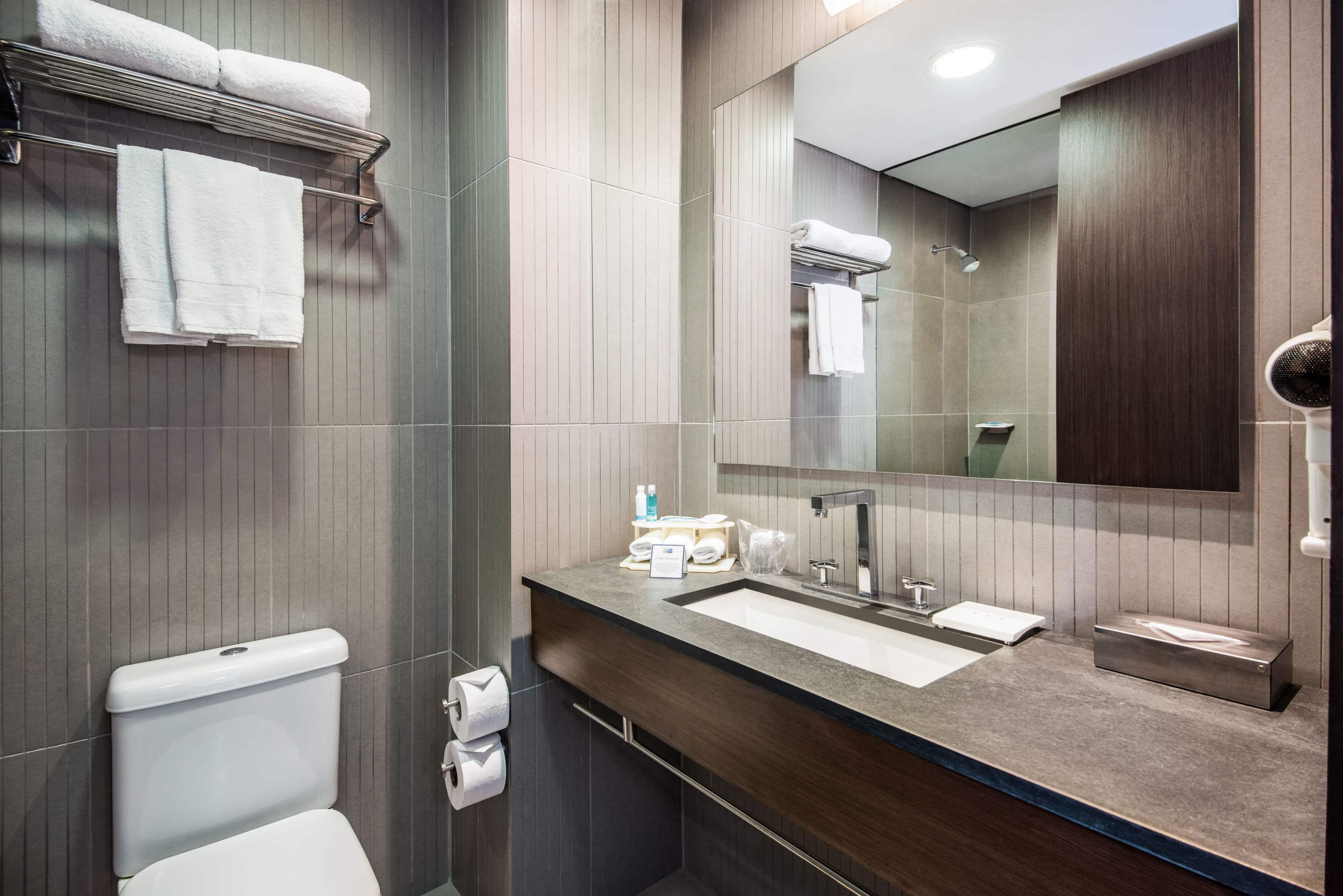 Holiday Inn Express Bogota - Parque La 93 — 12