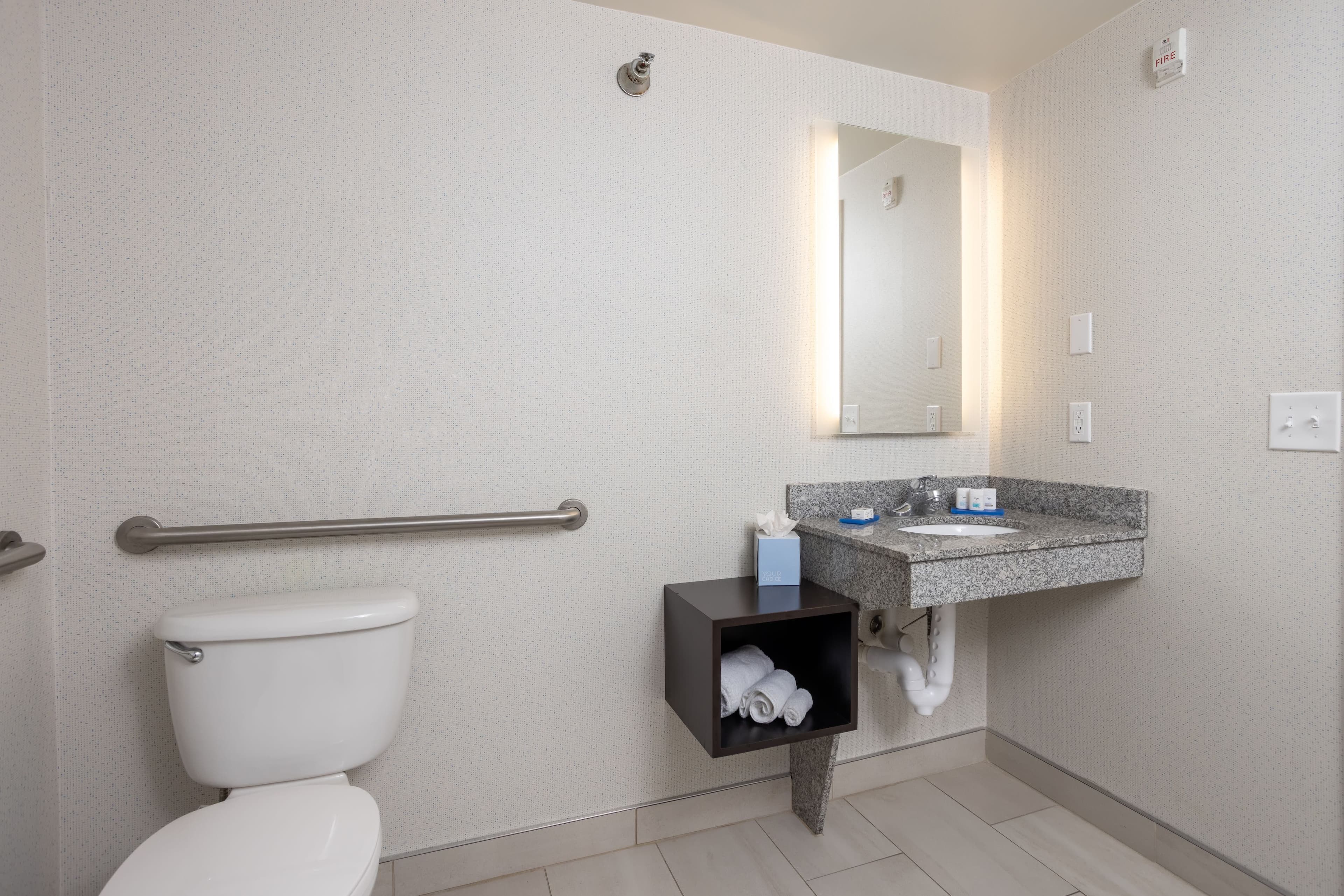 Holiday Inn Express Carrollton — 10