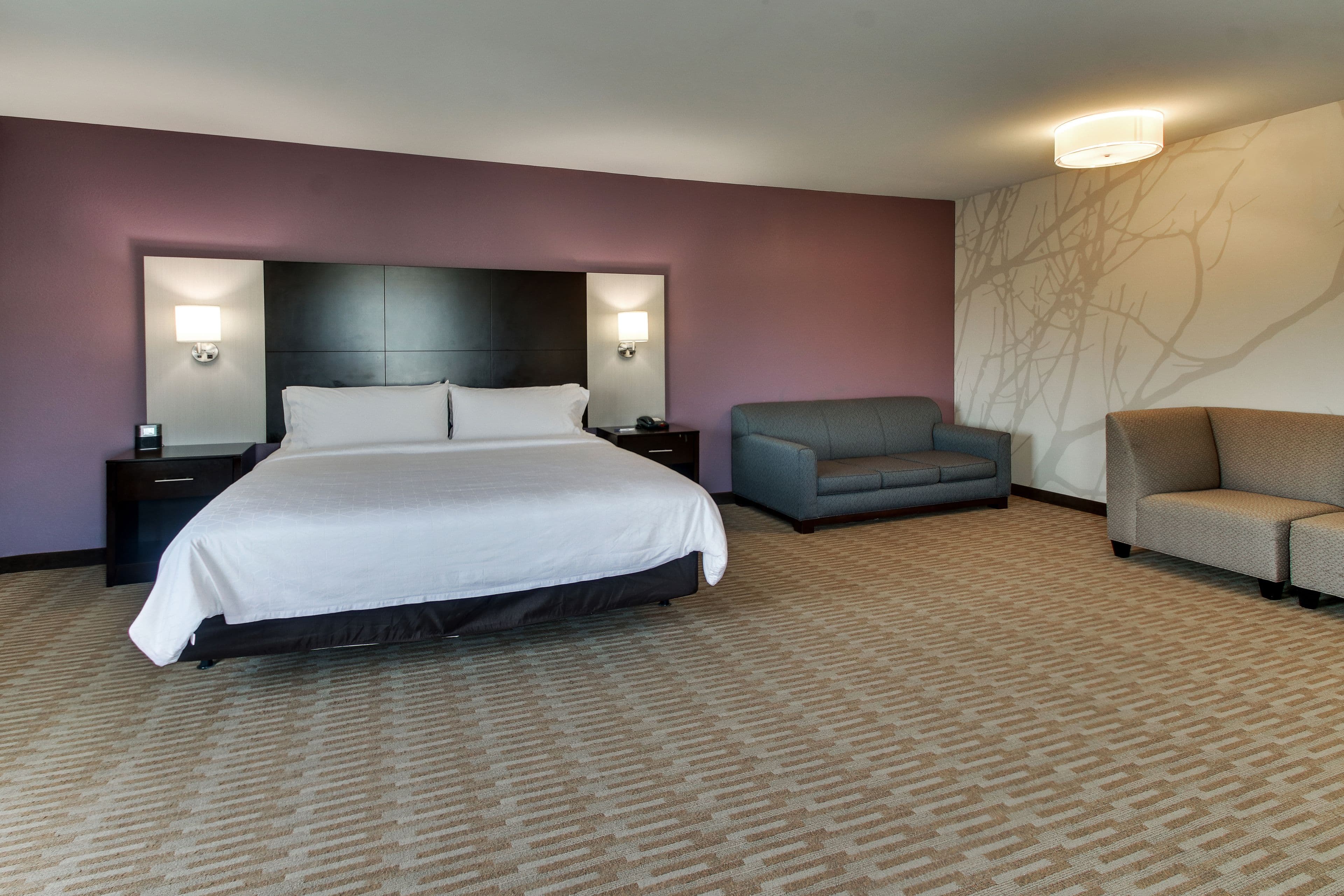 Holiday Inn Express Cheektowaga North East — 8