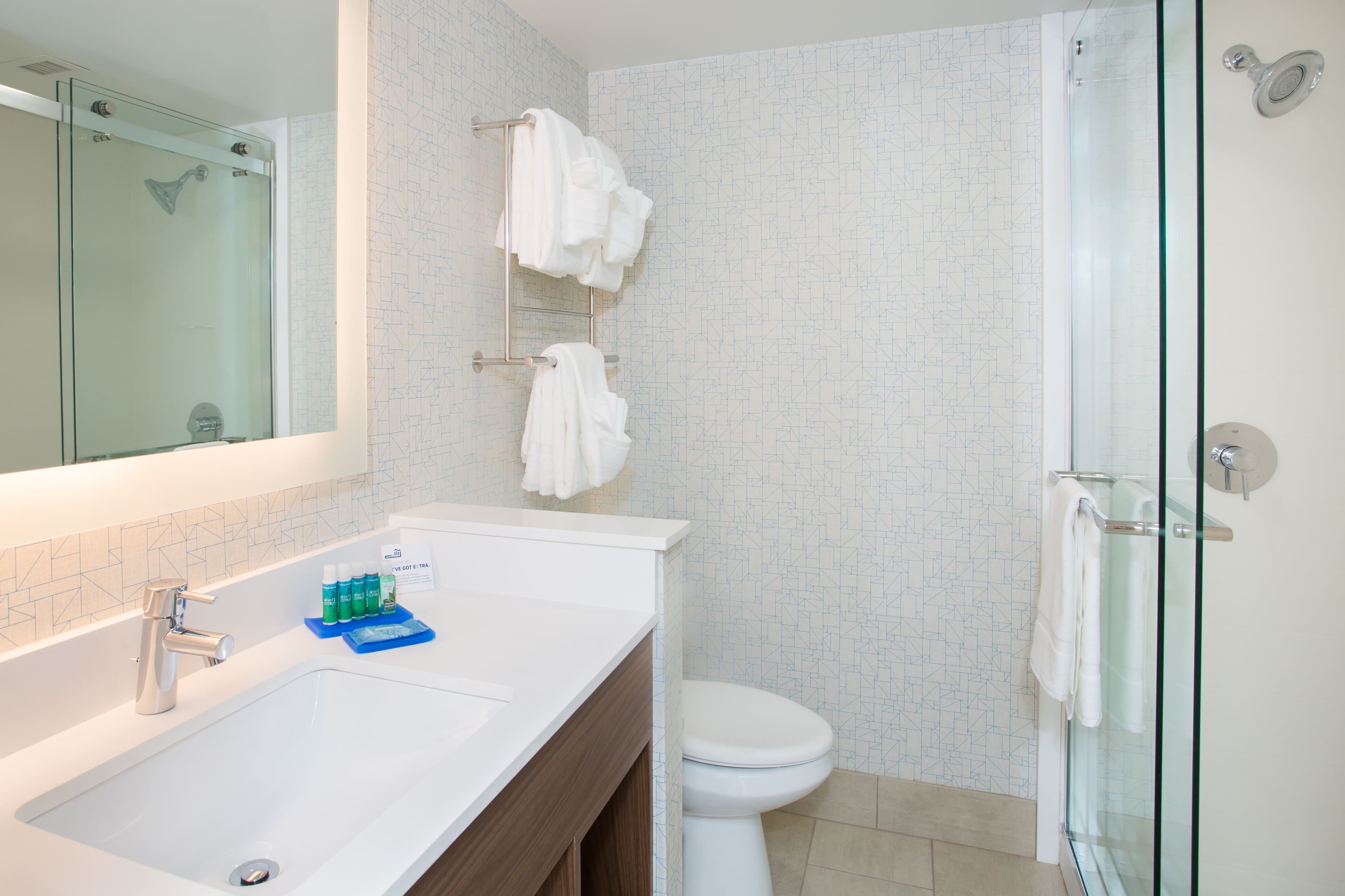 Holiday Inn Express Chelmsford — 13