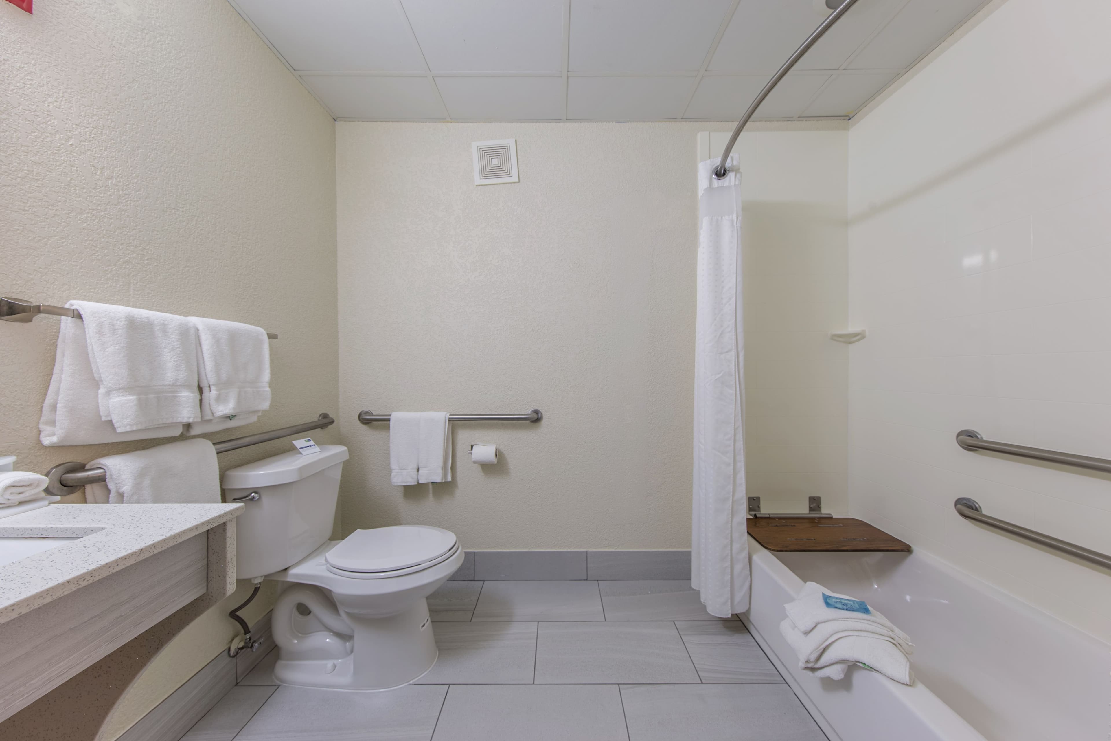 Holiday Inn Express Dandridge — 8