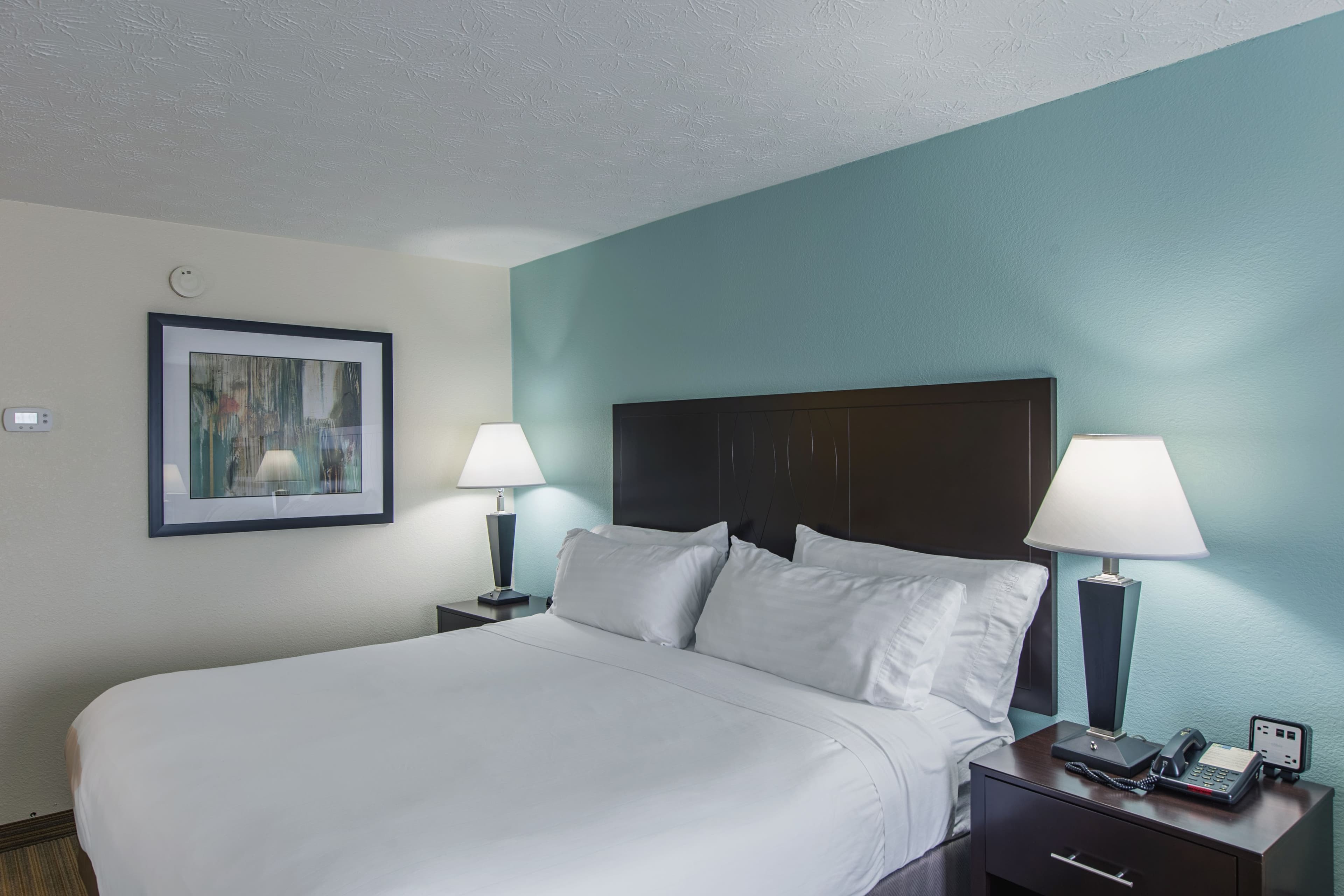 Holiday Inn Express Dandridge - Image 4