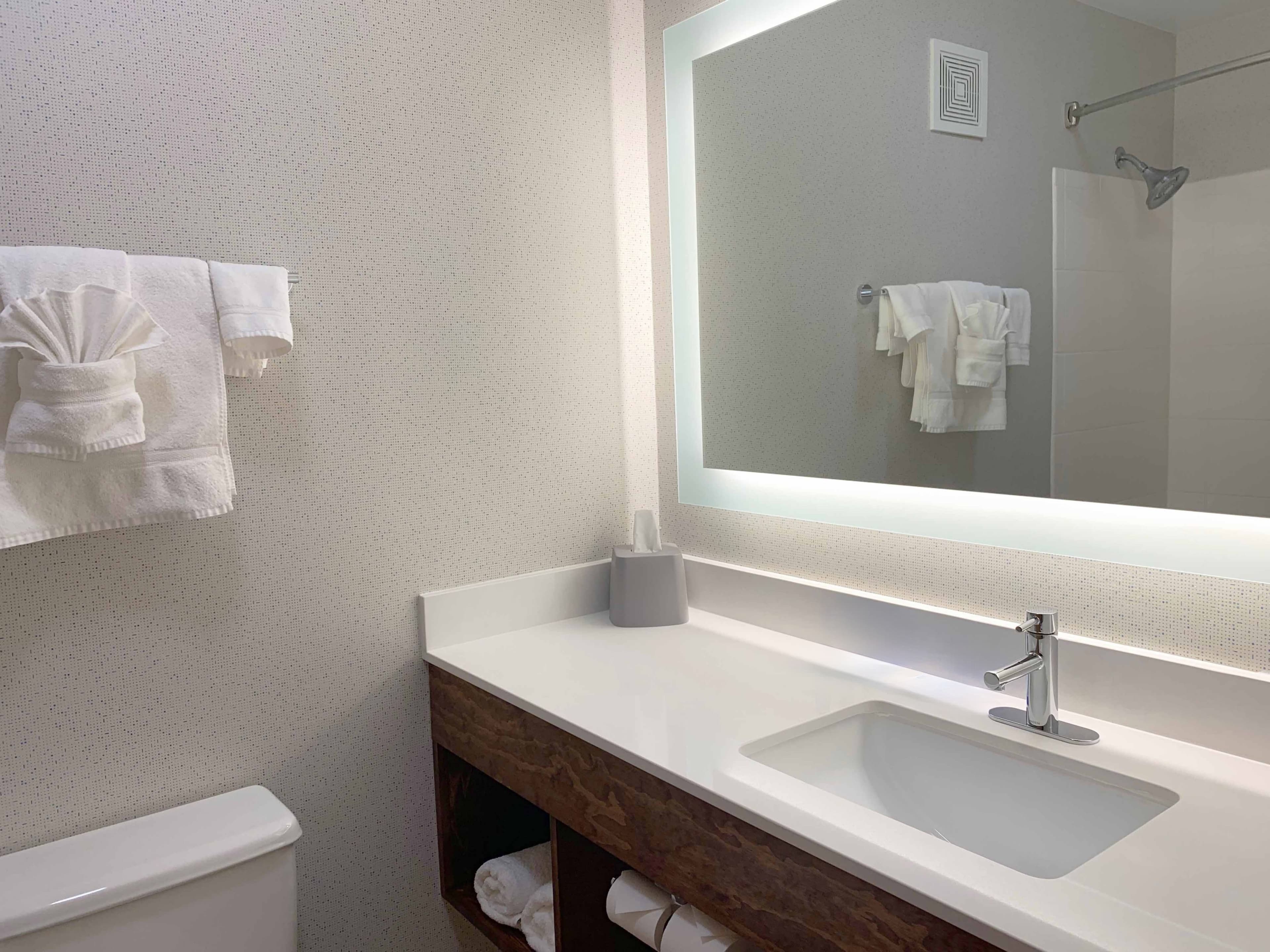 Holiday Inn Express Danville - Image 3