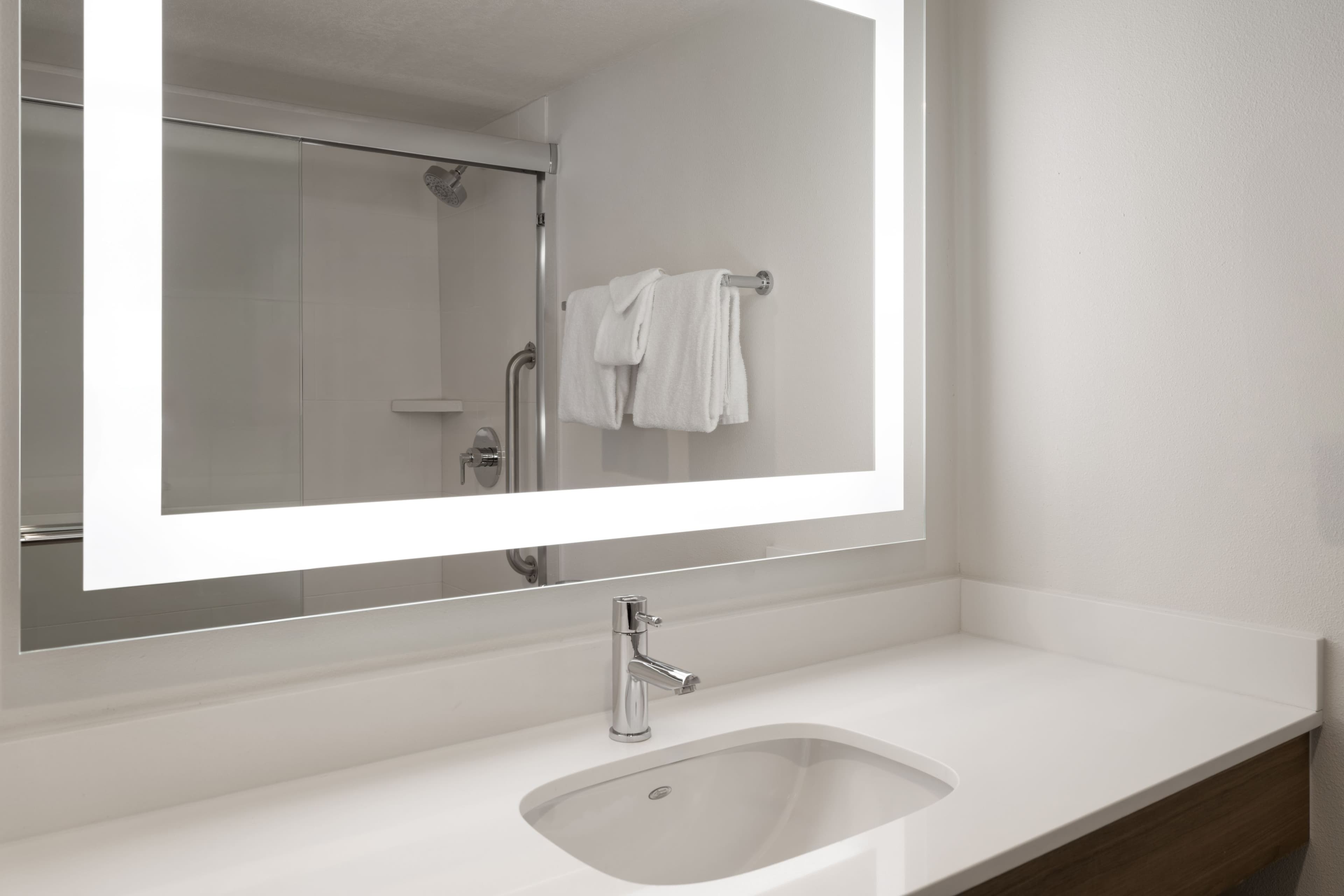 Holiday Inn Express Denver Central - North - Image 4