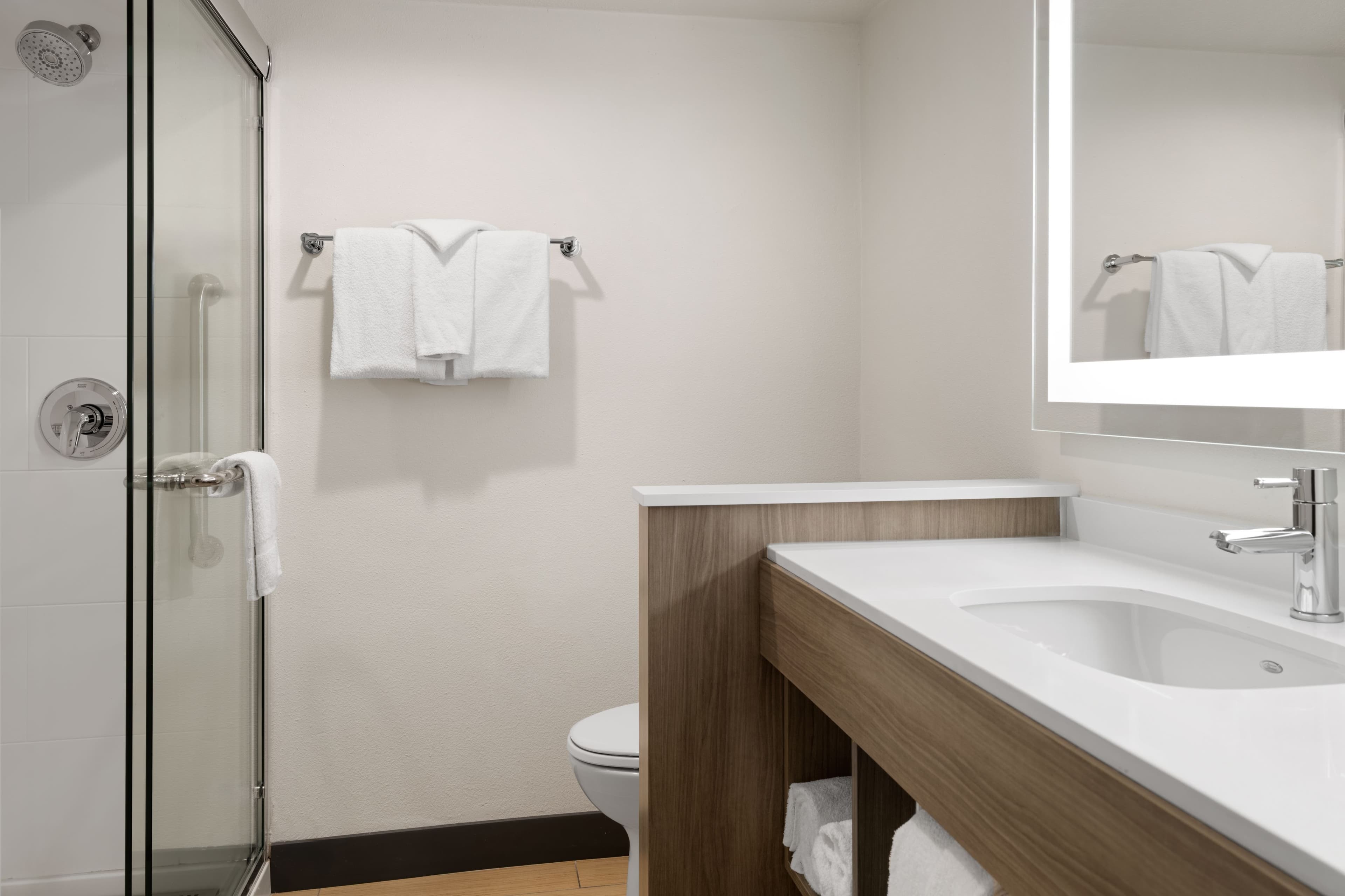 Holiday Inn Express Denver Central - North — 42
