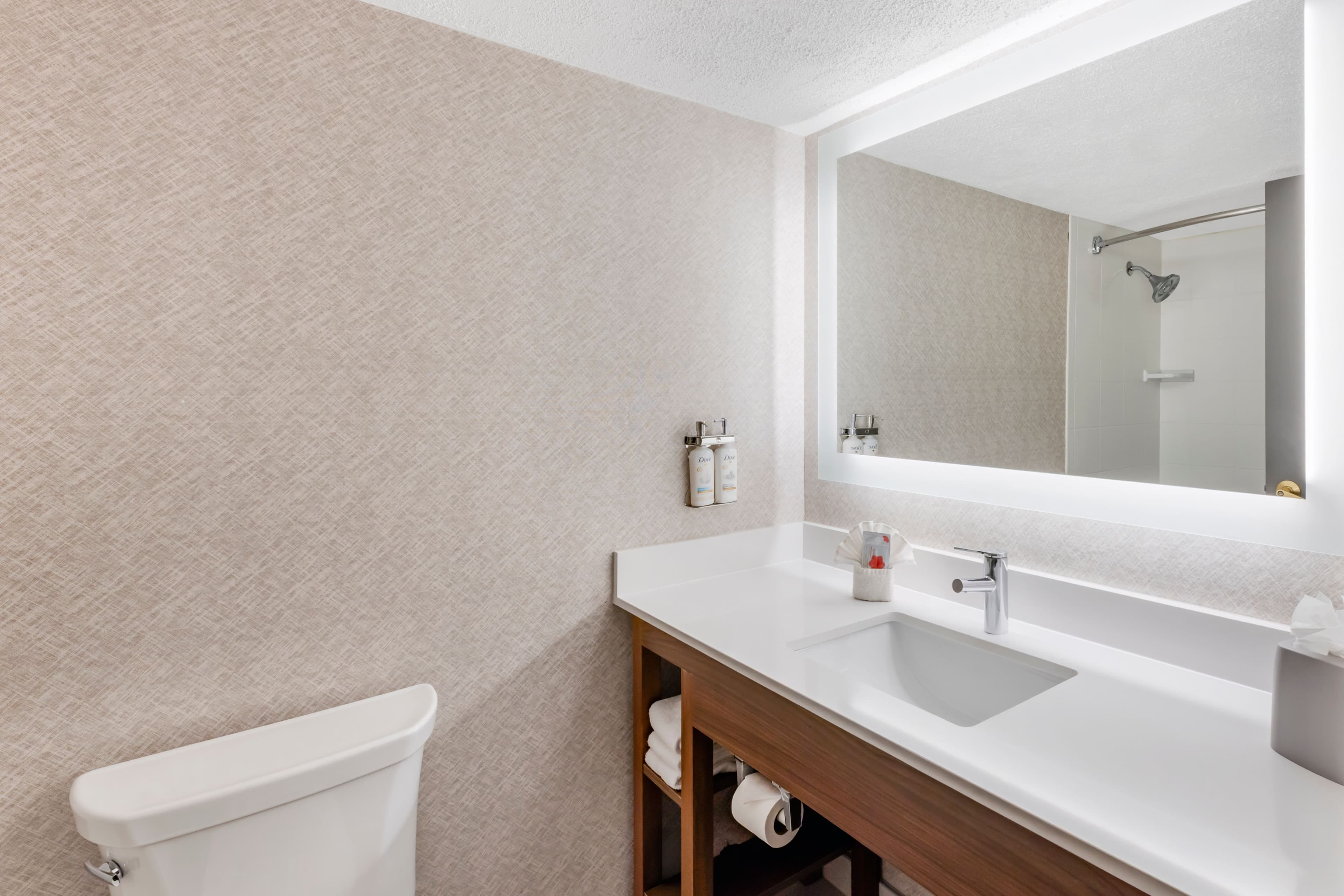 Holiday Inn Express Chicago-Downers Grove — 19