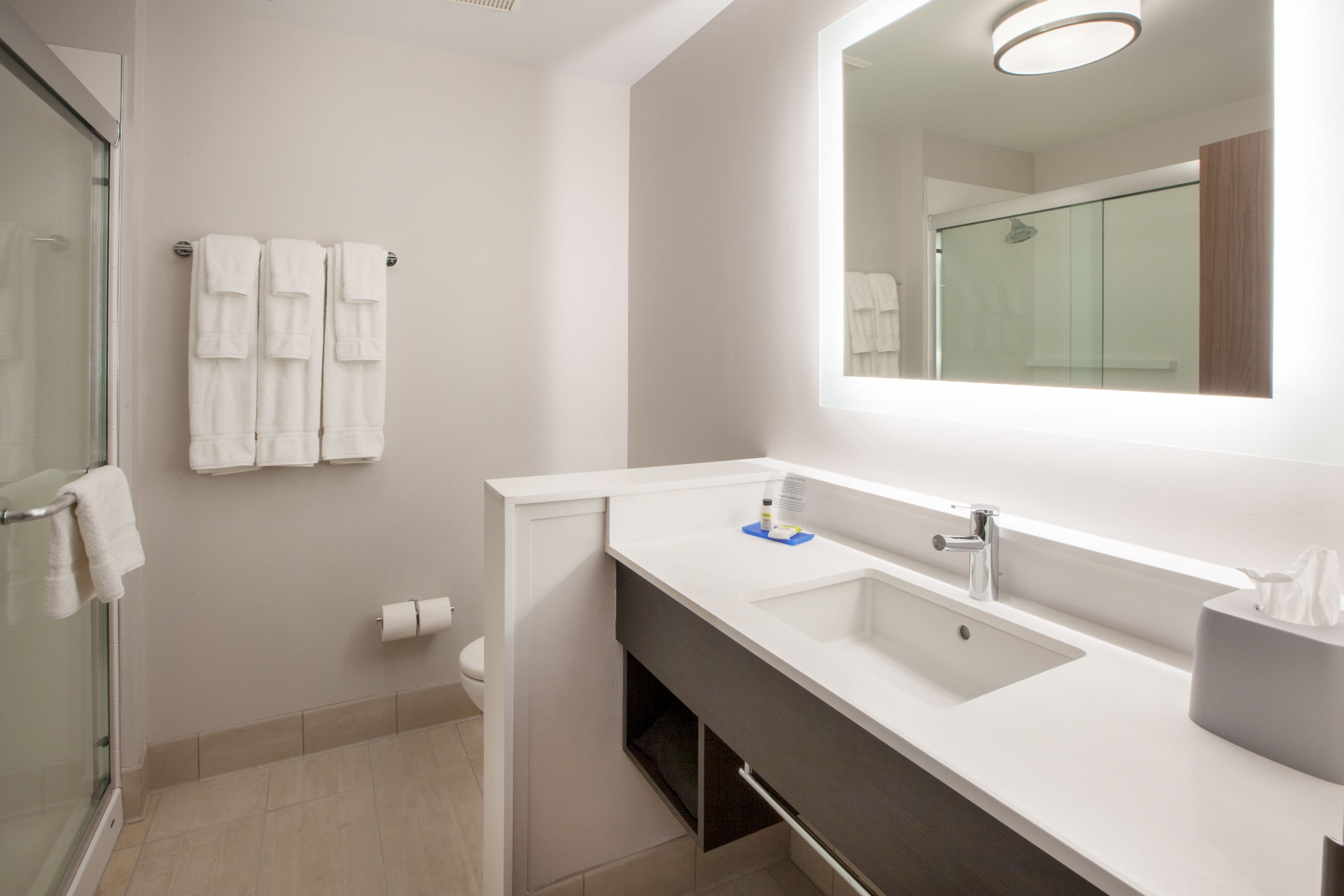 Holiday Inn Express Durango Downtown-Animas River - Image 3