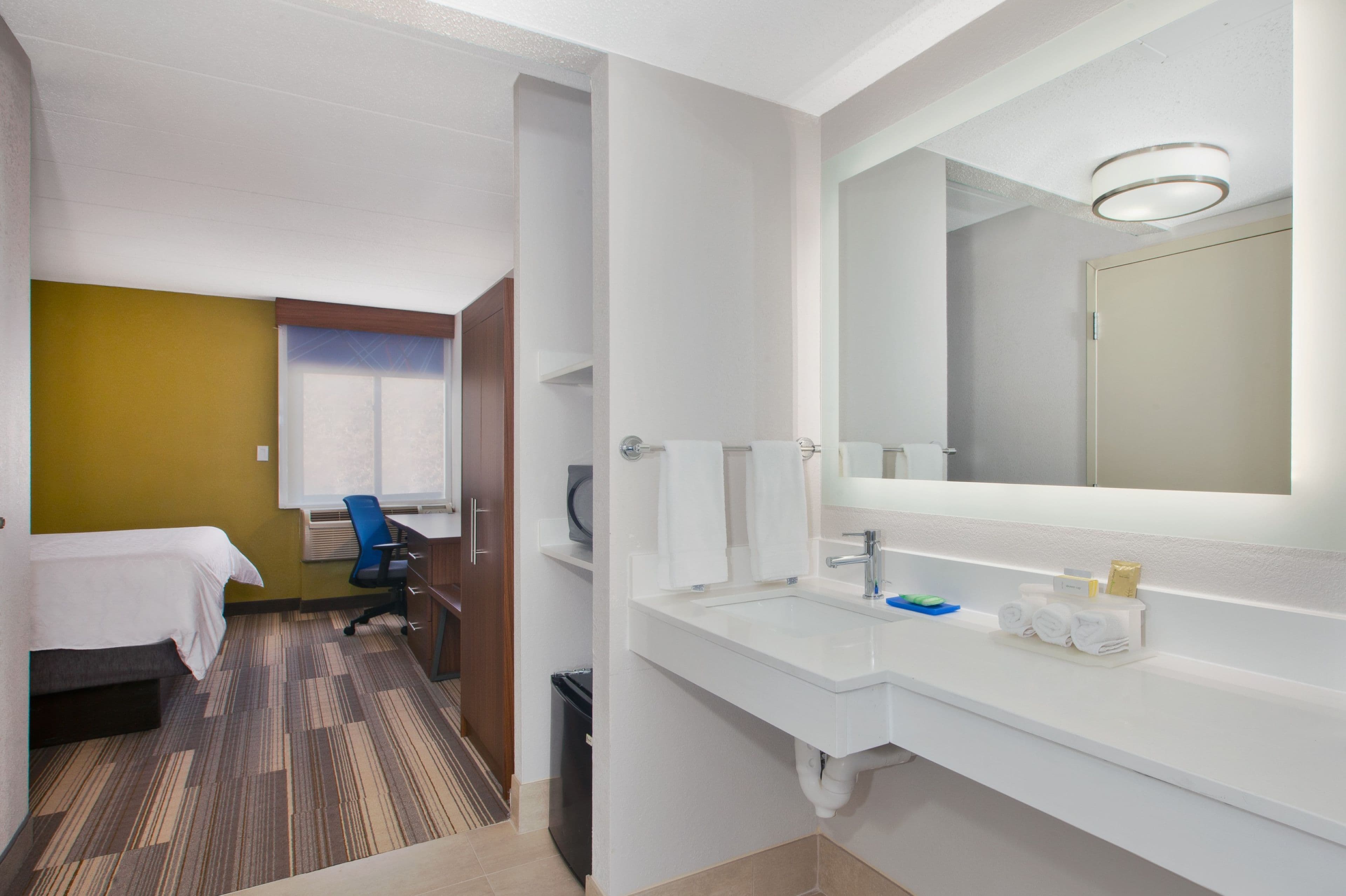 1 King Standard Mobility Accessible Tub - Image 1