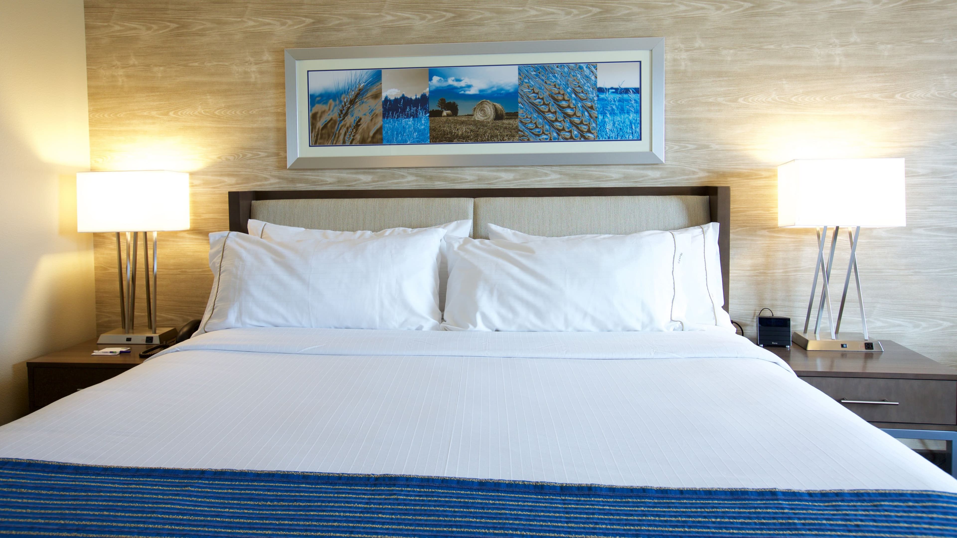Holiday Inn Express Fargo SW - I-94 Medical Center — 20
