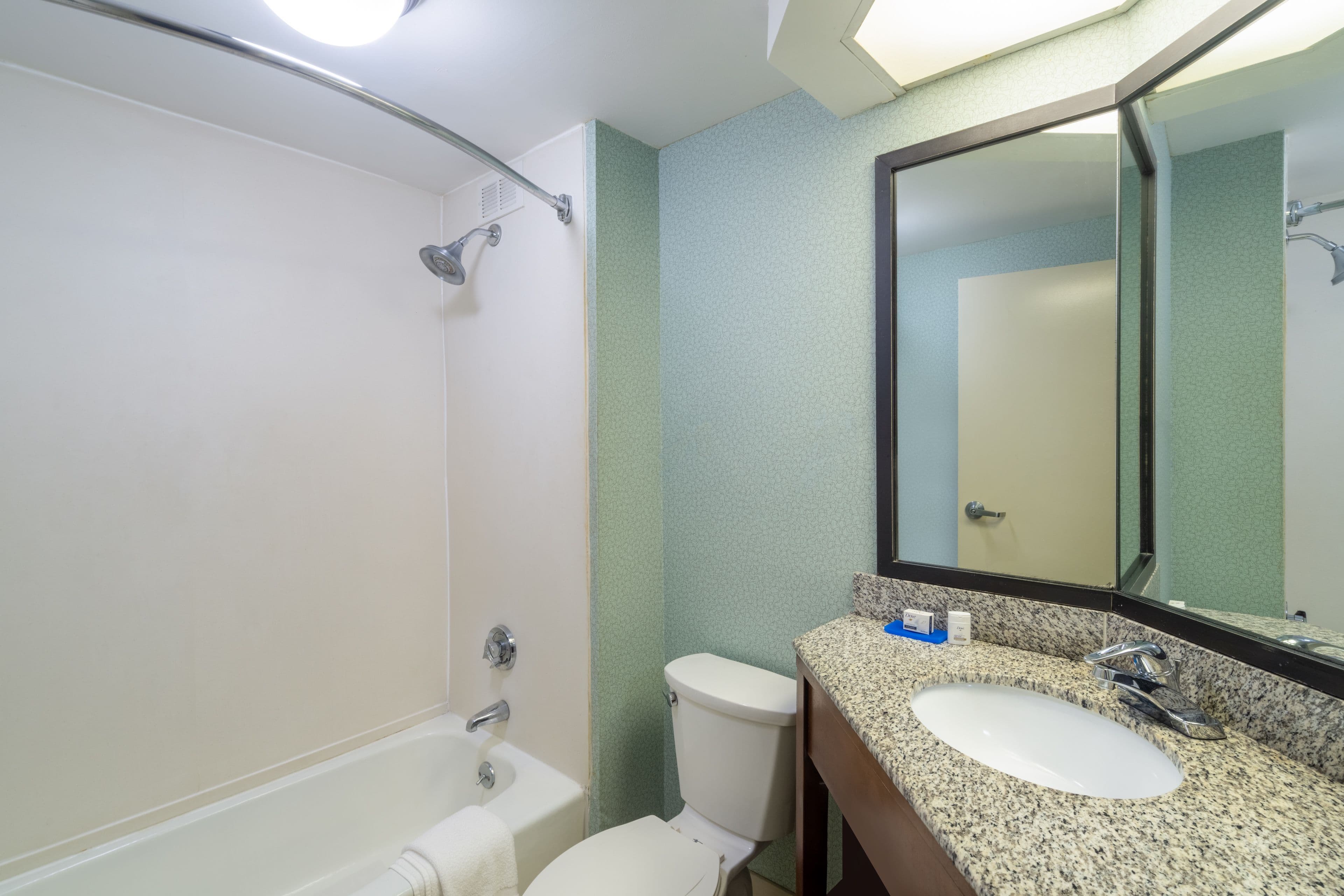 Holiday Inn Express Forsyth — 8